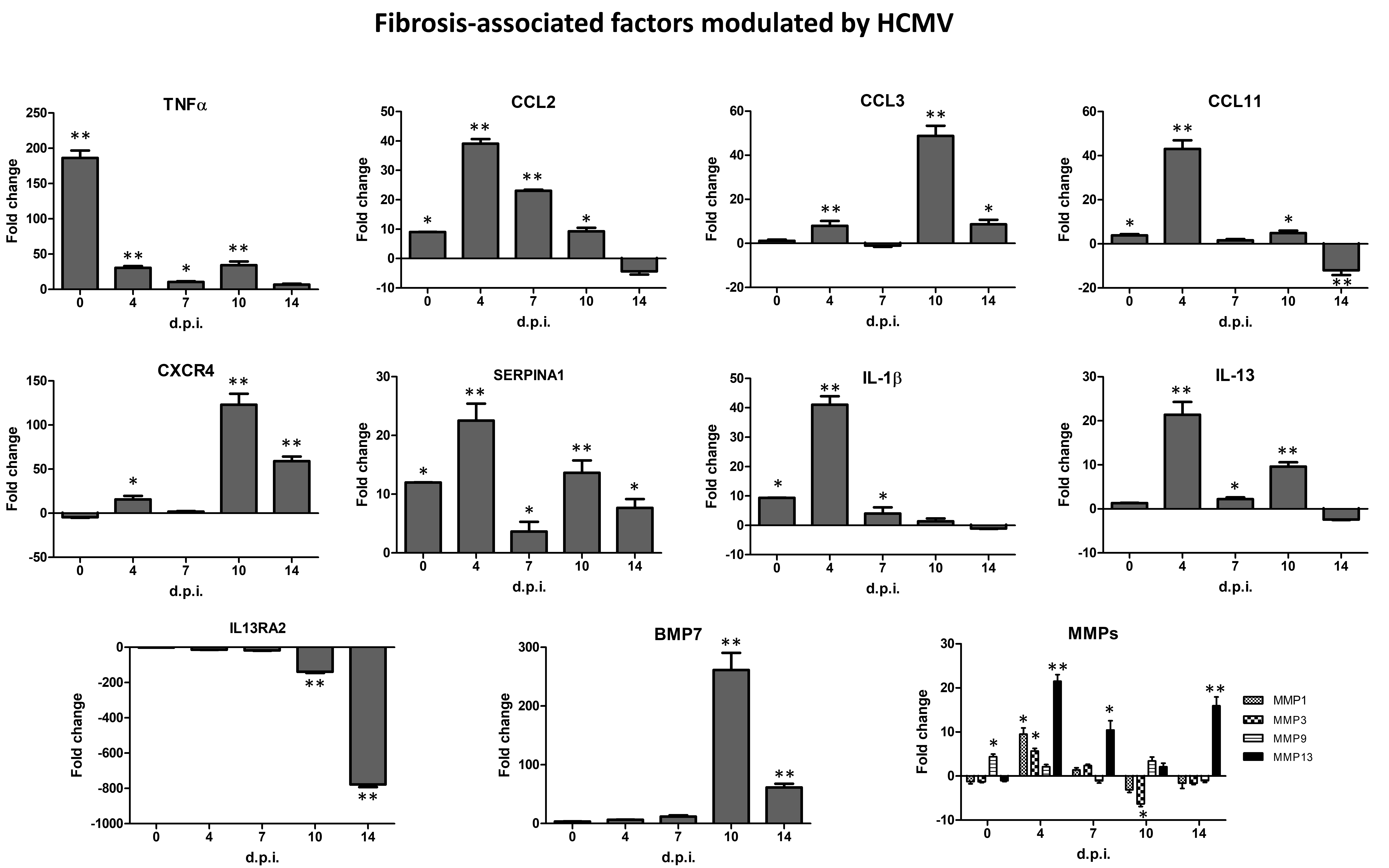 Ijms 21 06397 g002 Ijms 21 06397 g002