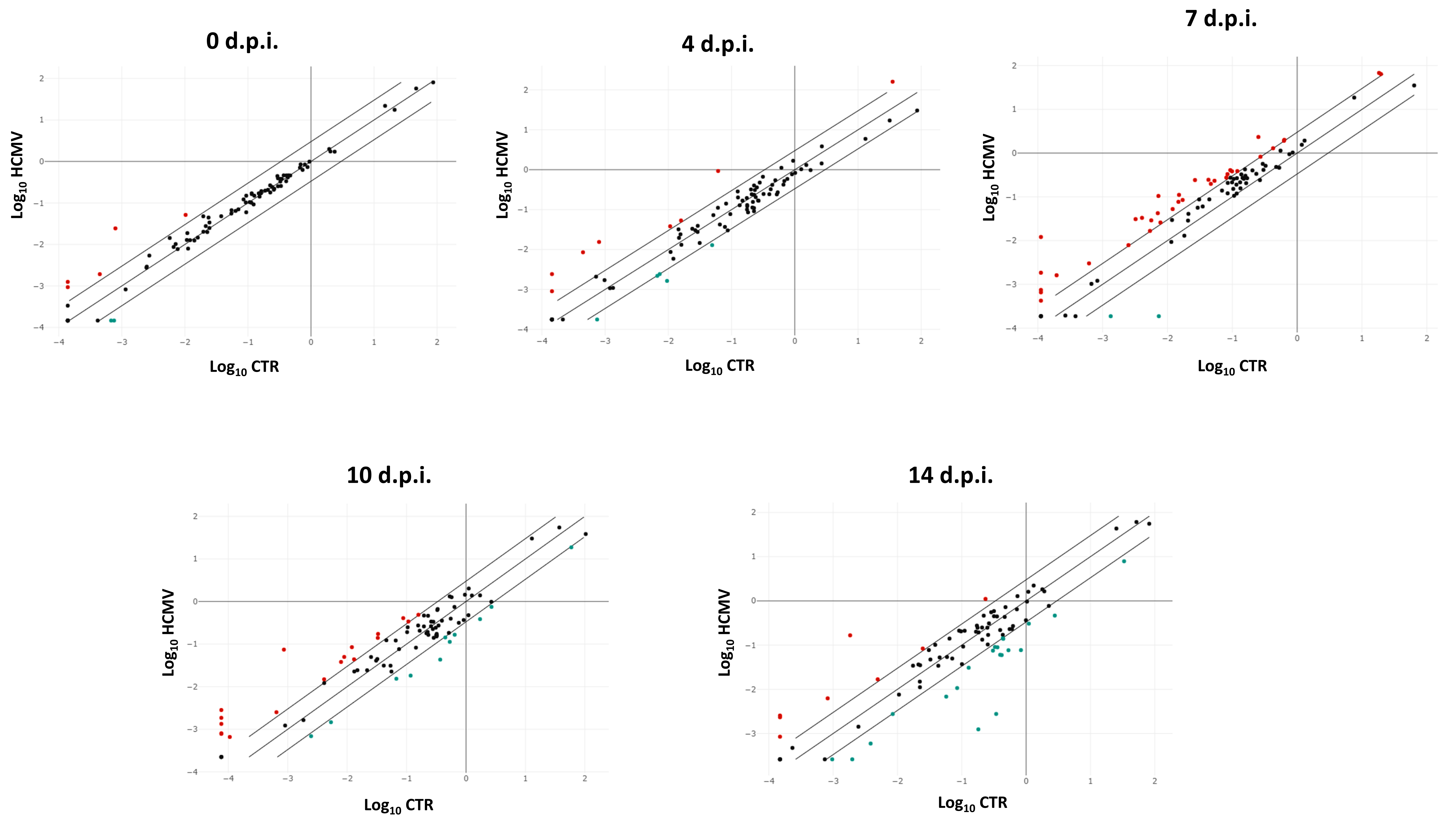 Ijms 21 06397 g005 Ijms 21 06397 g005