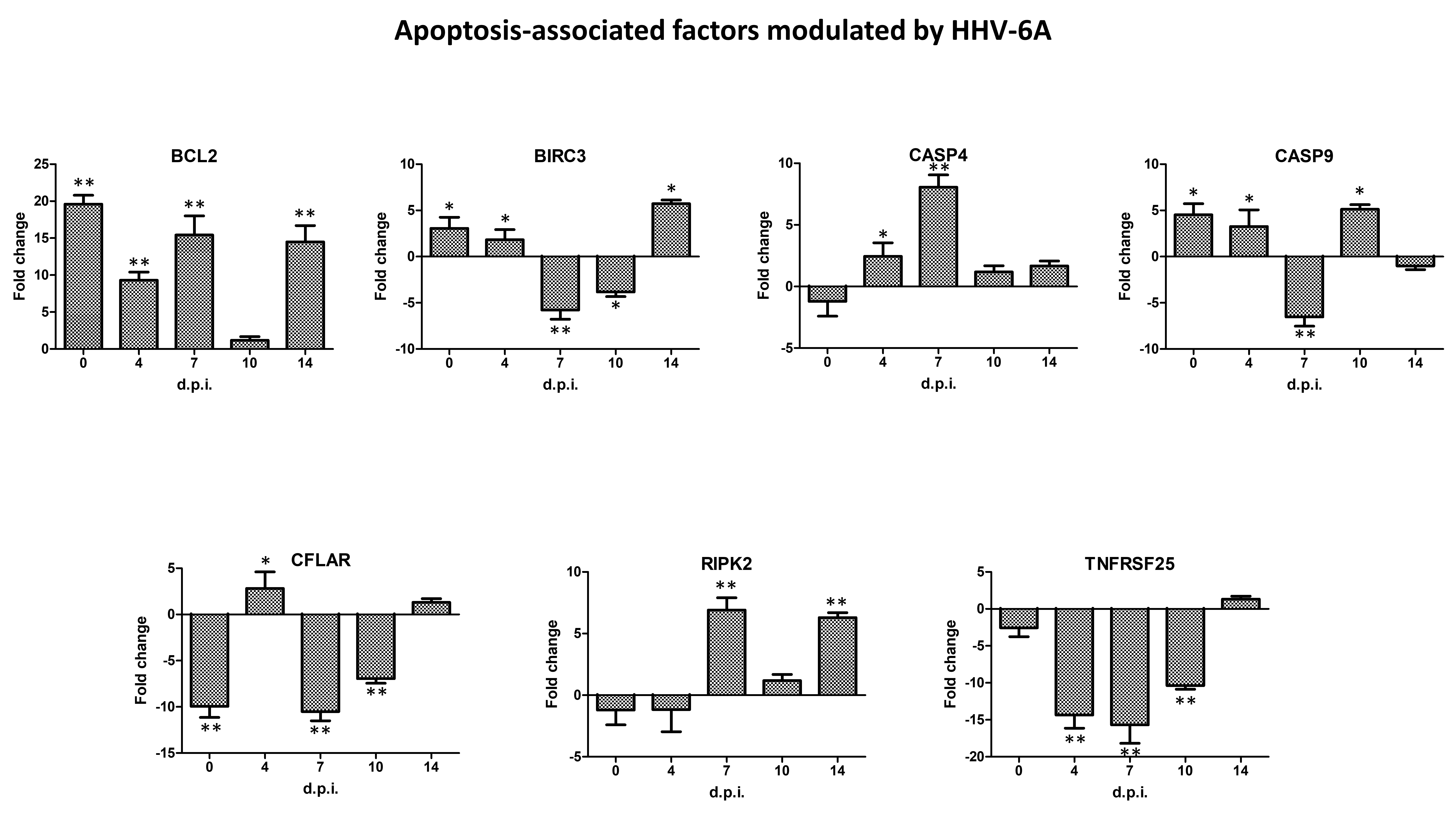 Ijms 21 06397 g008 Ijms 21 06397 g008