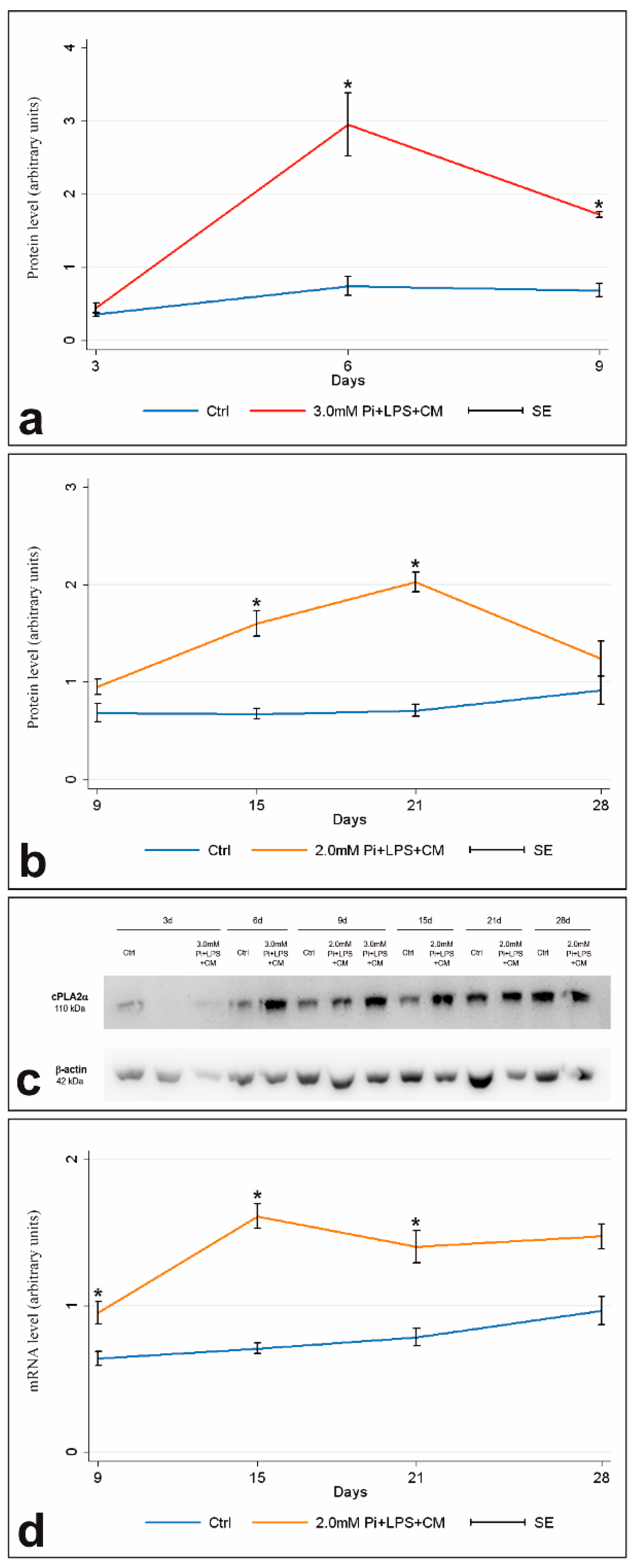 Ijms 21 06398 g001 Ijms 21 06398 g001