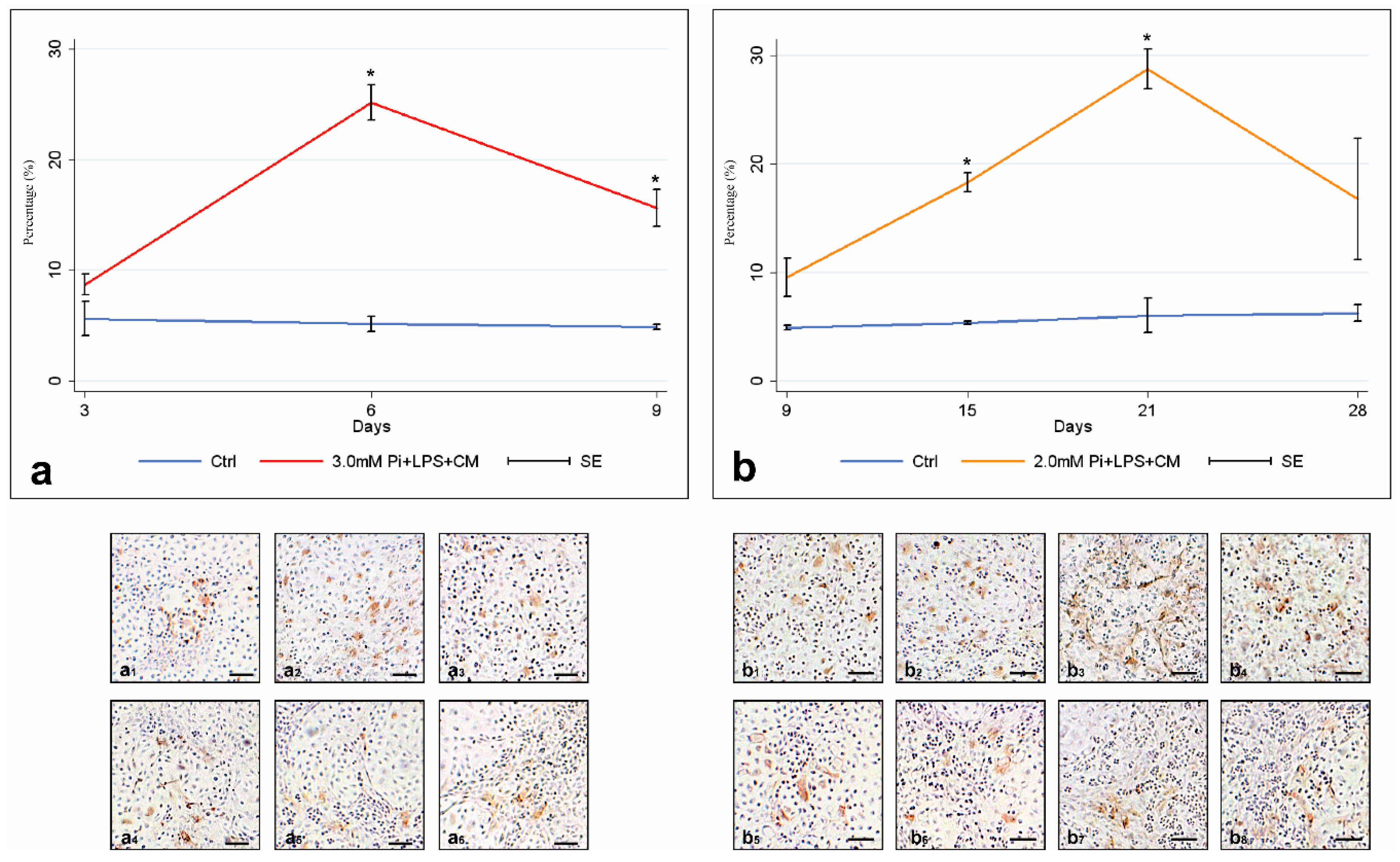 Ijms 21 06398 g002 Ijms 21 06398 g002