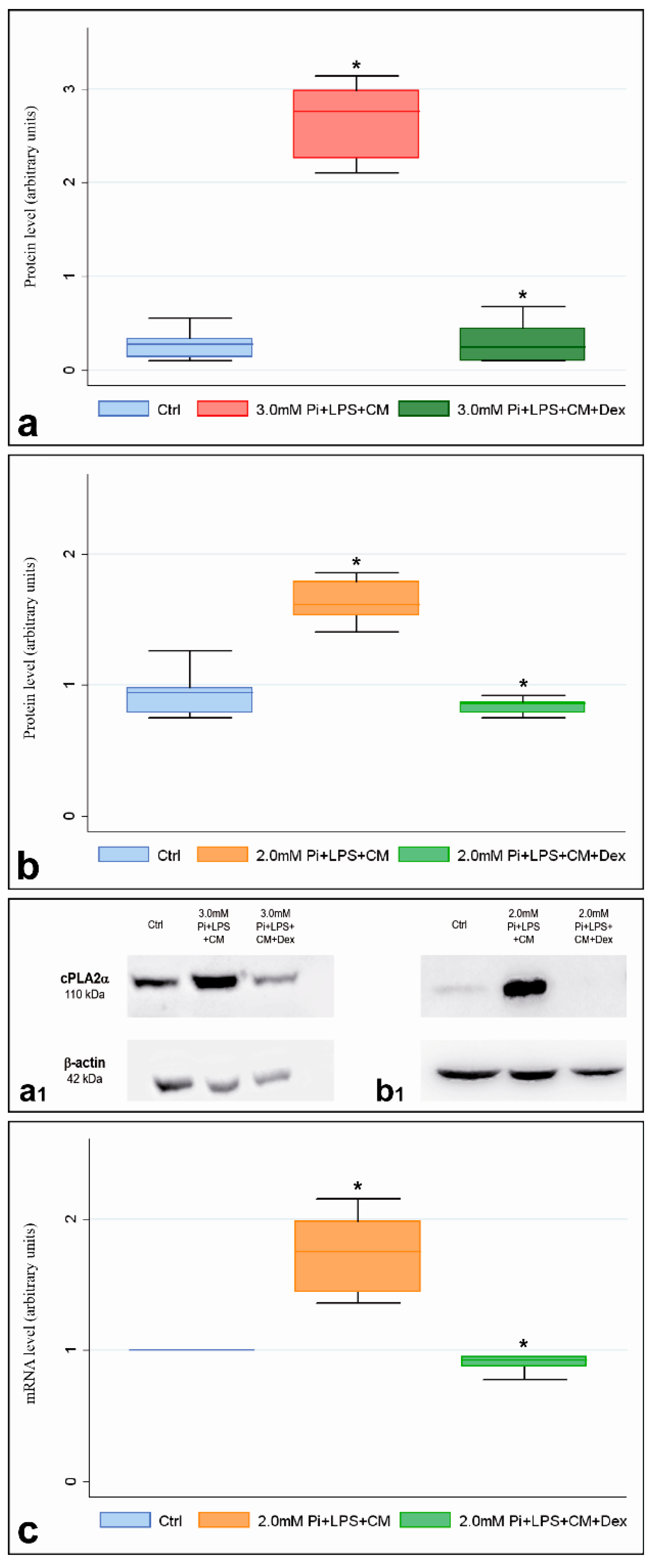 Ijms 21 06398 g003 Ijms 21 06398 g003