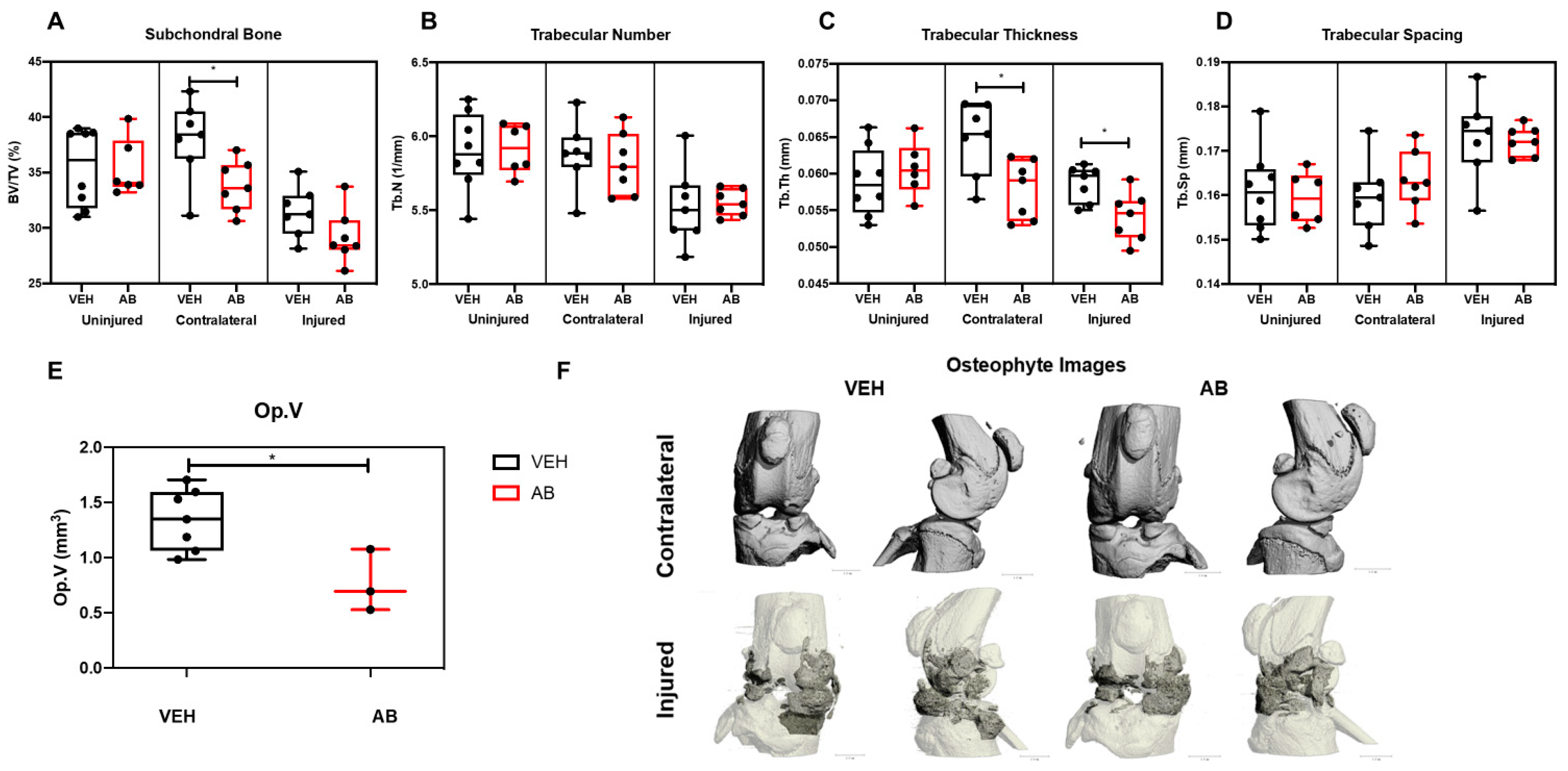 Ijms 21 06424 g002 Ijms 21 06424 g002
