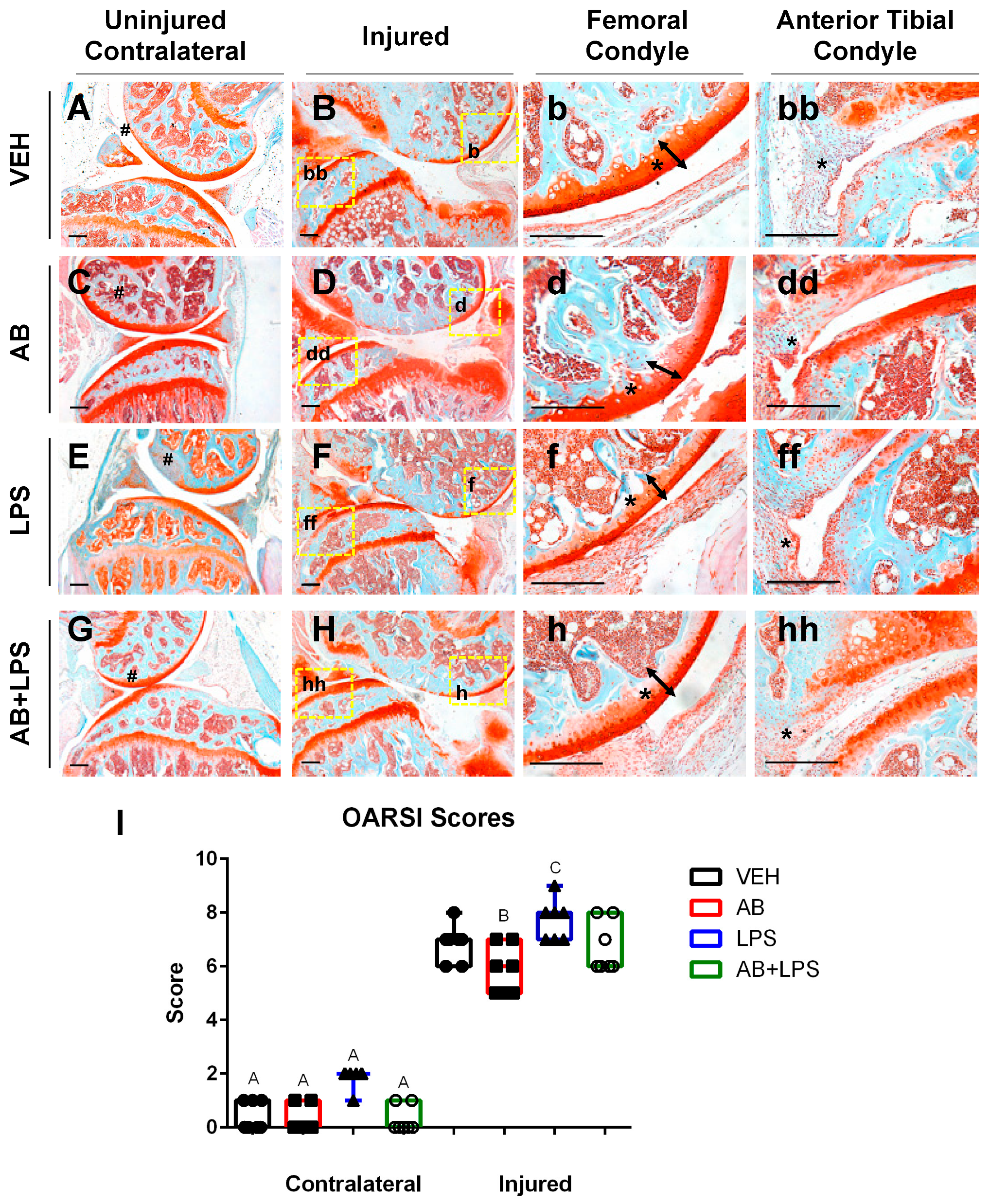 Ijms 21 06424 g003 Ijms 21 06424 g003