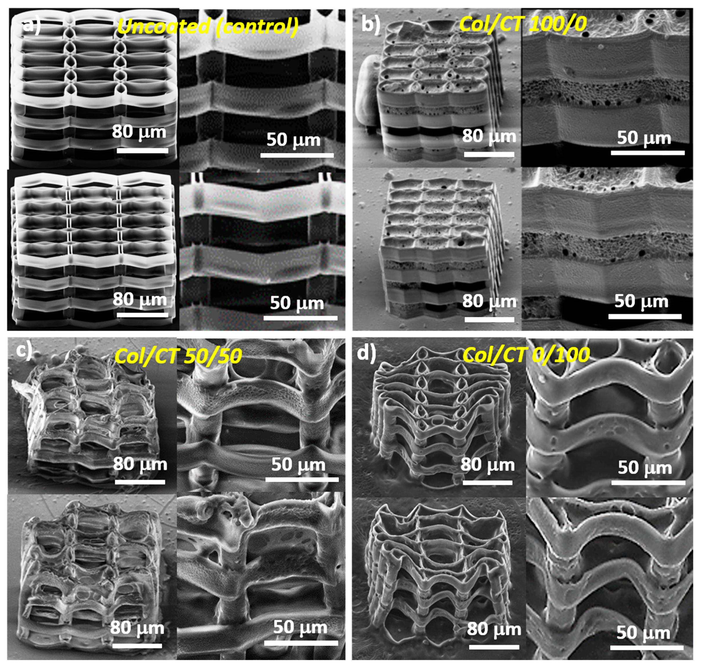 Ijms 21 06426 g001 Ijms 21 06426 g001