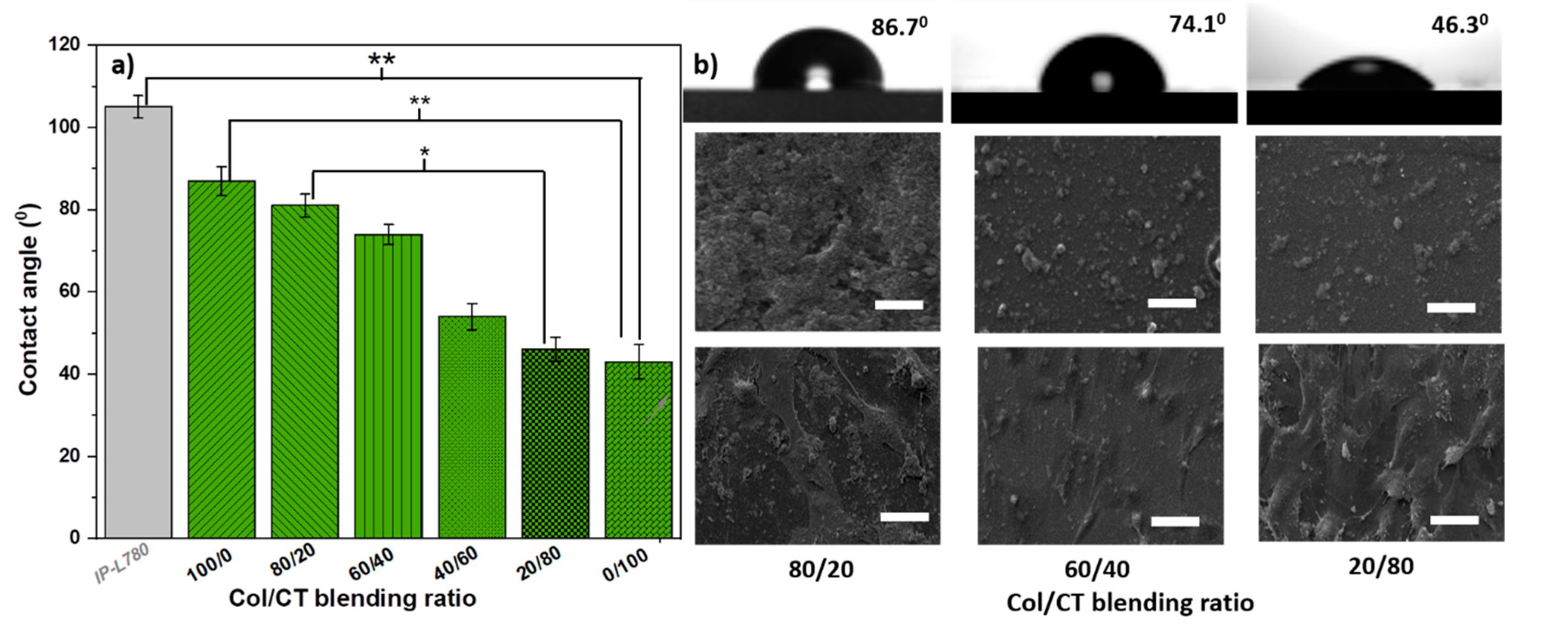 Ijms 21 06426 g002 Ijms 21 06426 g002