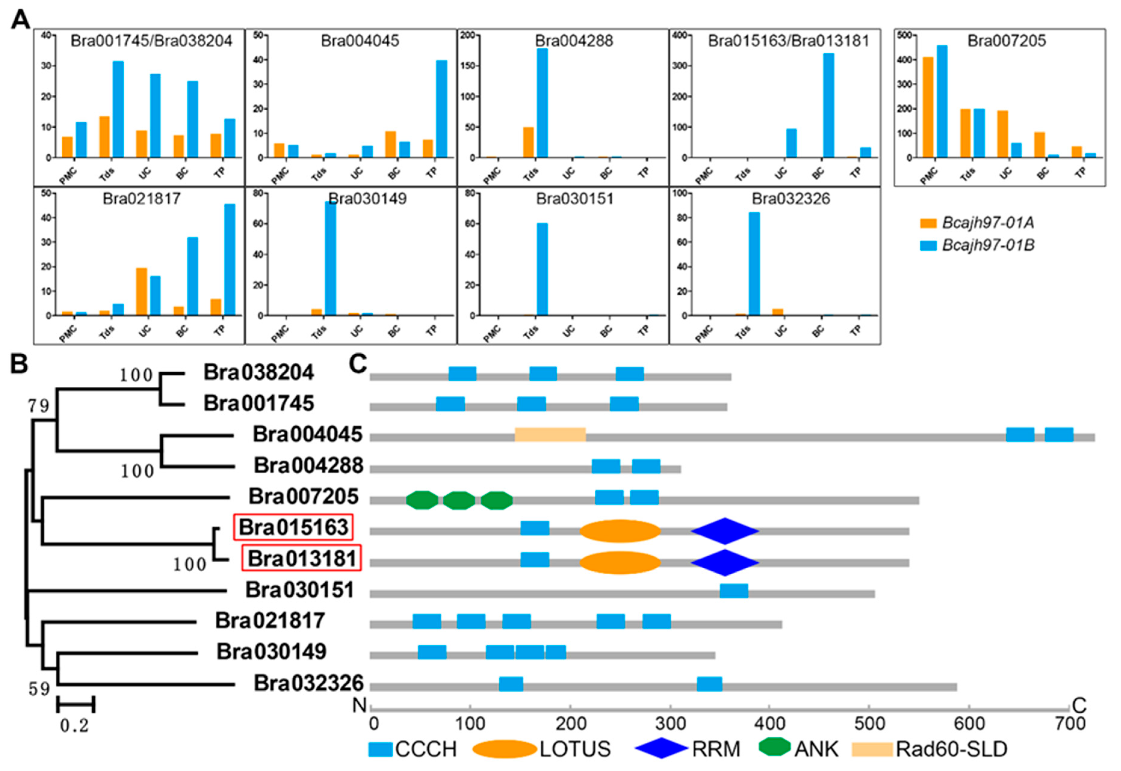 Ijms 21 06428 g001 Ijms 21 06428 g001