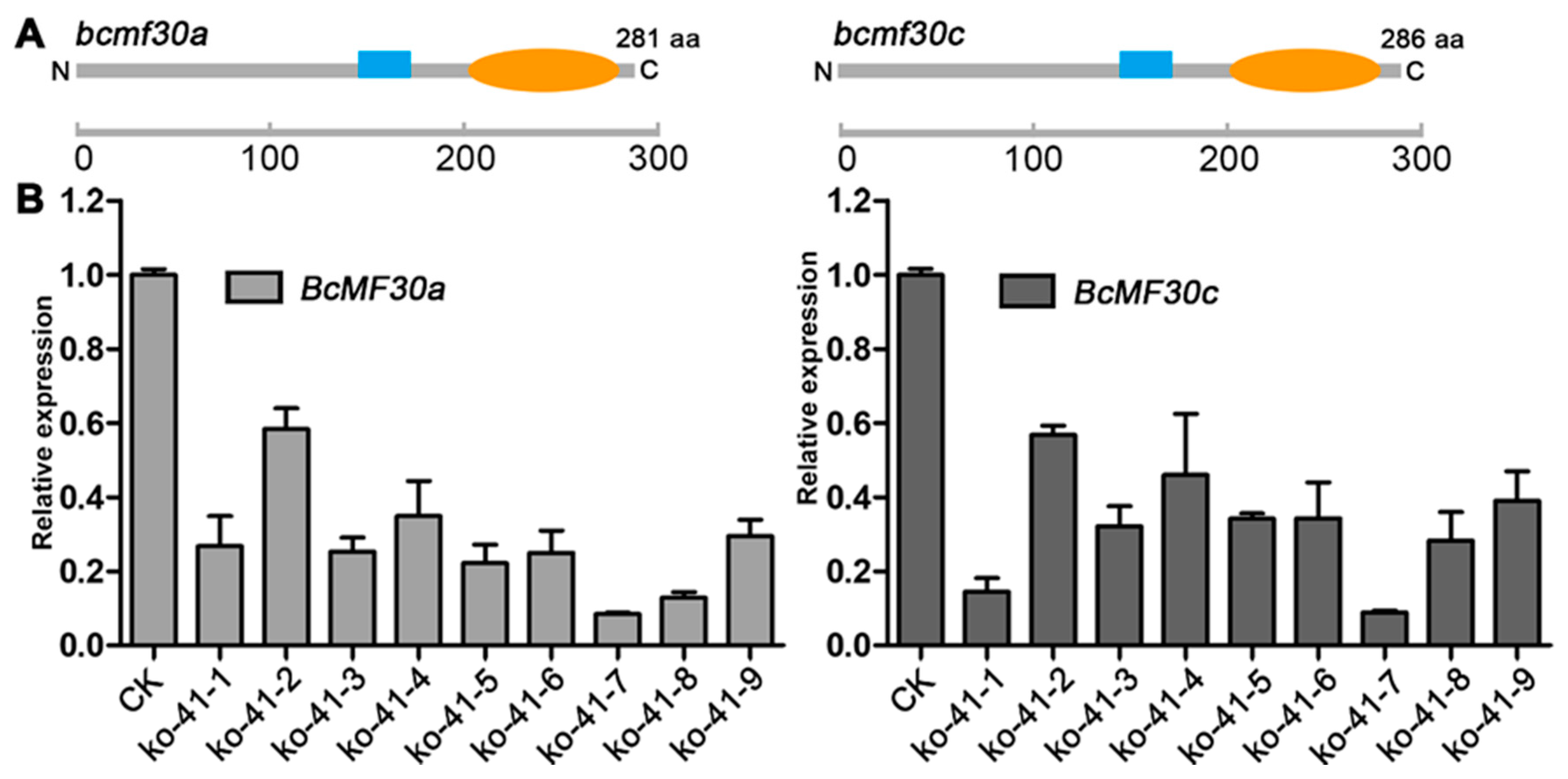 Ijms 21 06428 g006 Ijms 21 06428 g006