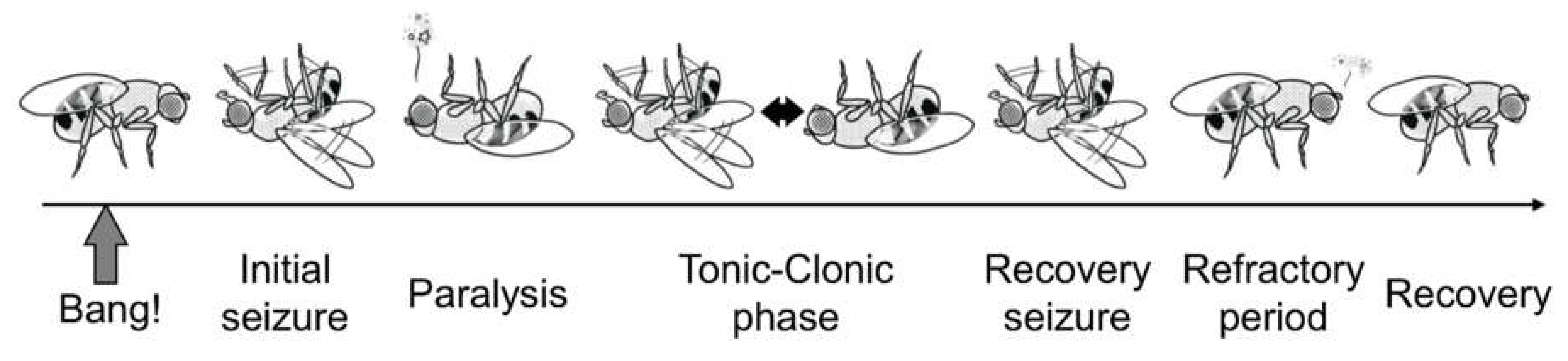 Ijms 21 06442 g002 Ijms 21 06442 g002