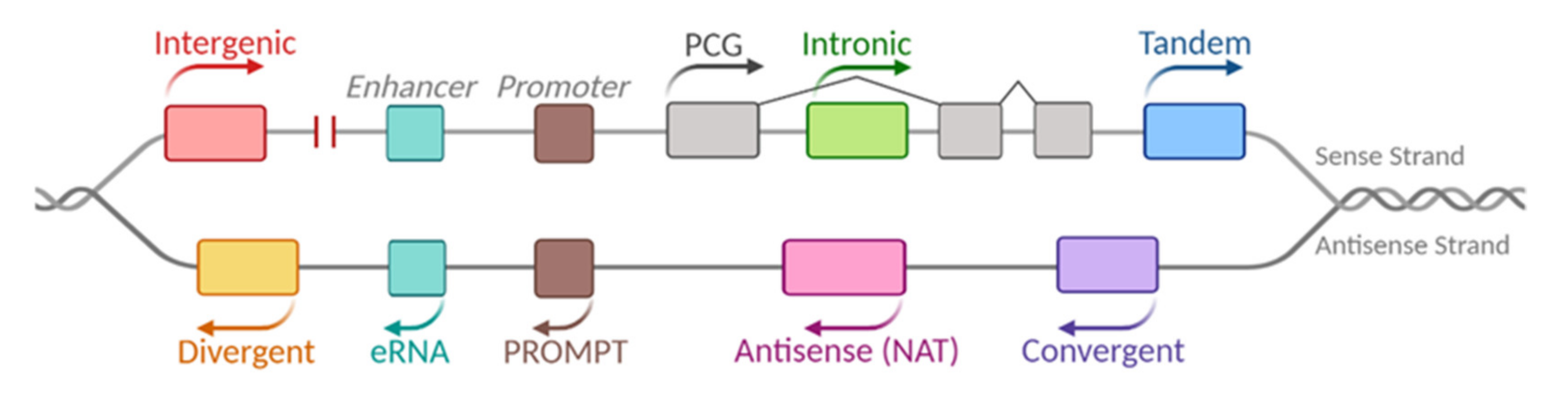 Ijms 21 06447 g001 Ijms 21 06447 g001