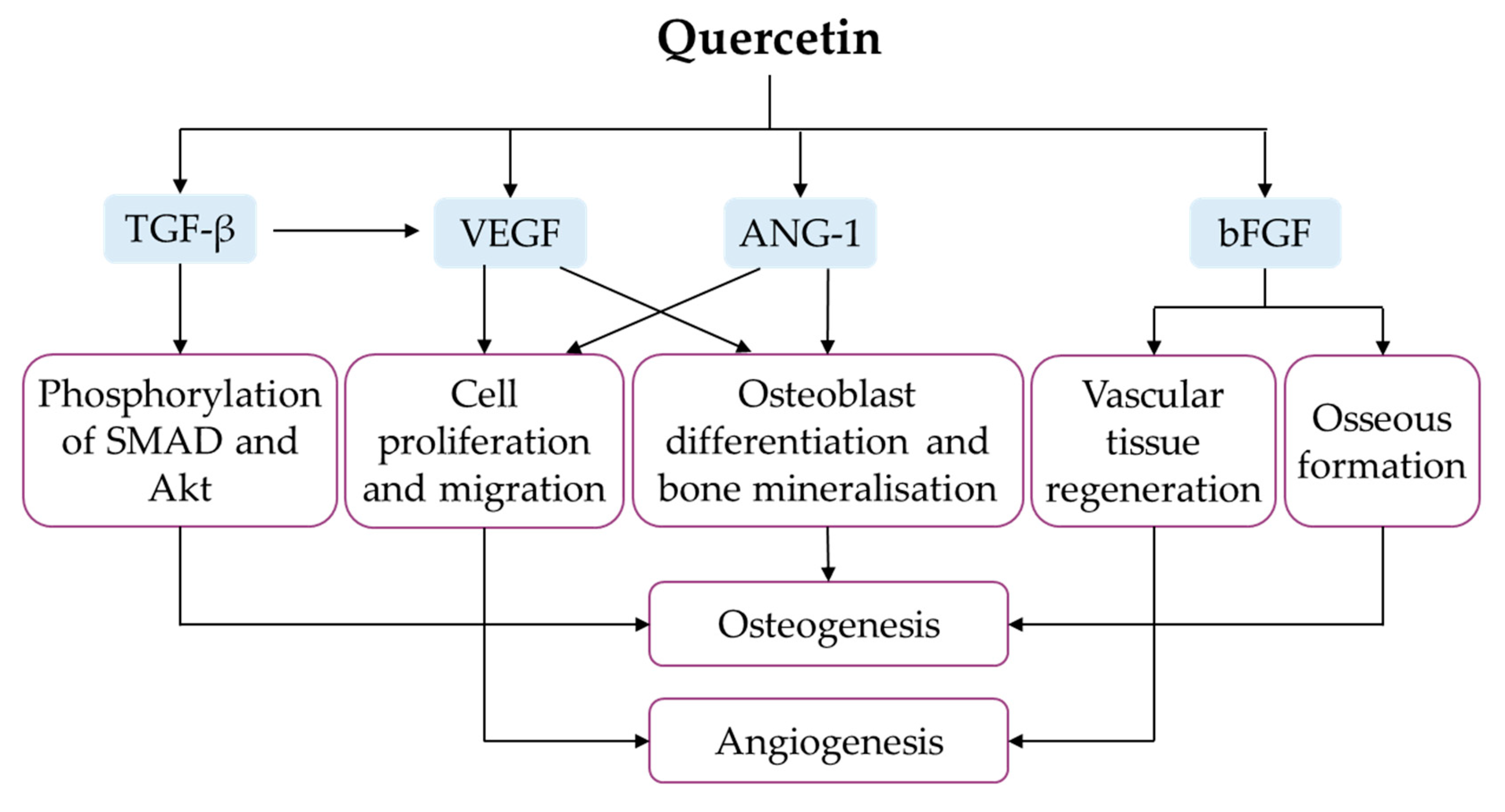 Ijms 21 06448 g008 Ijms 21 06448 g008