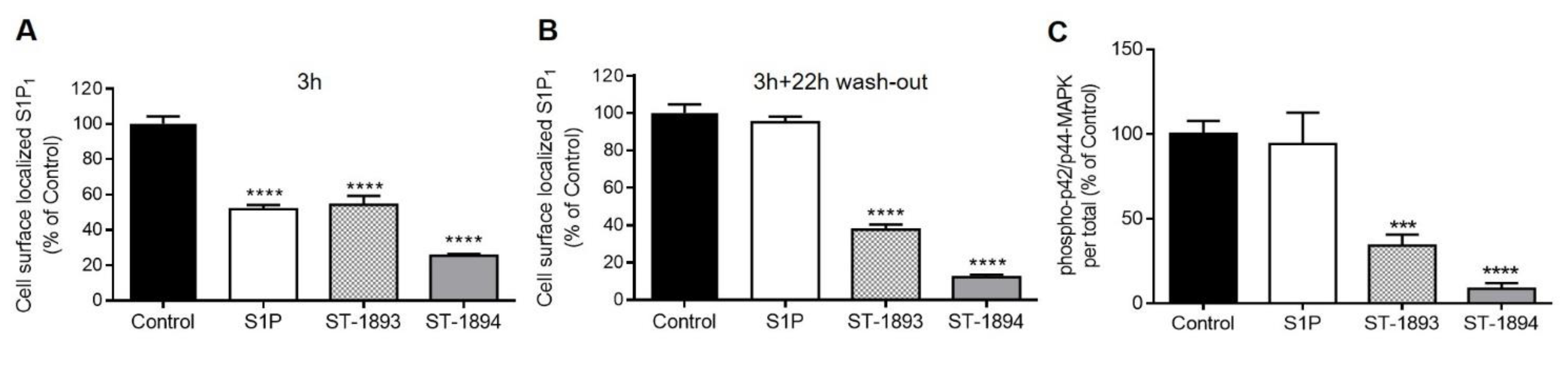 Ijms 21 06463 g004 Ijms 21 06463 g004