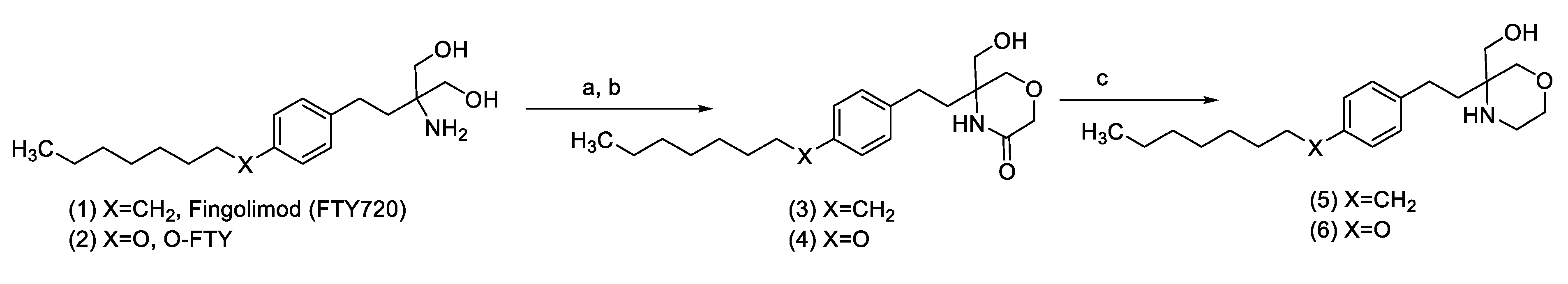 Ijms 21 06463 g011 Ijms 21 06463 g011