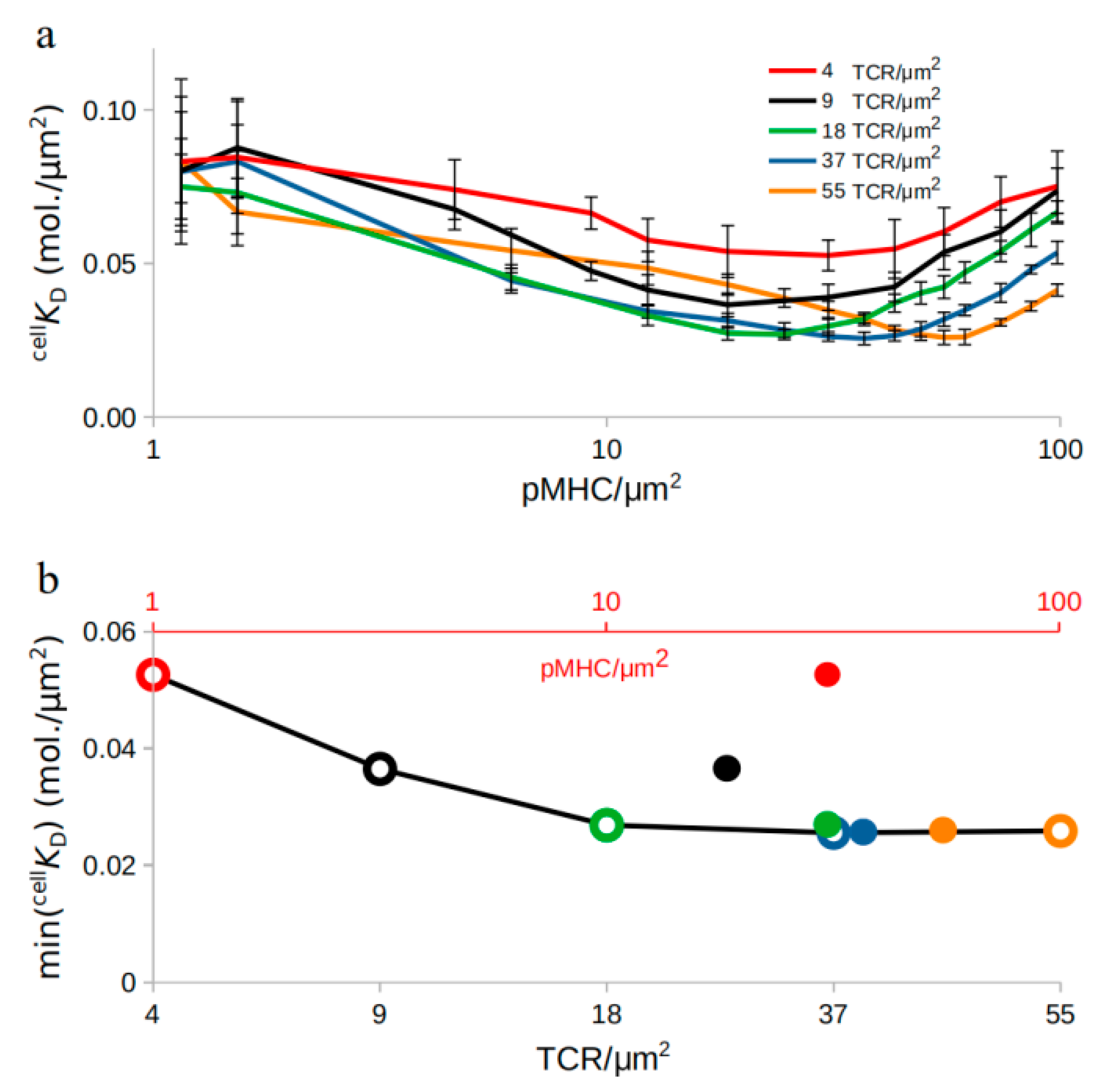 Ijms 21 06473 g002 Ijms 21 06473 g002