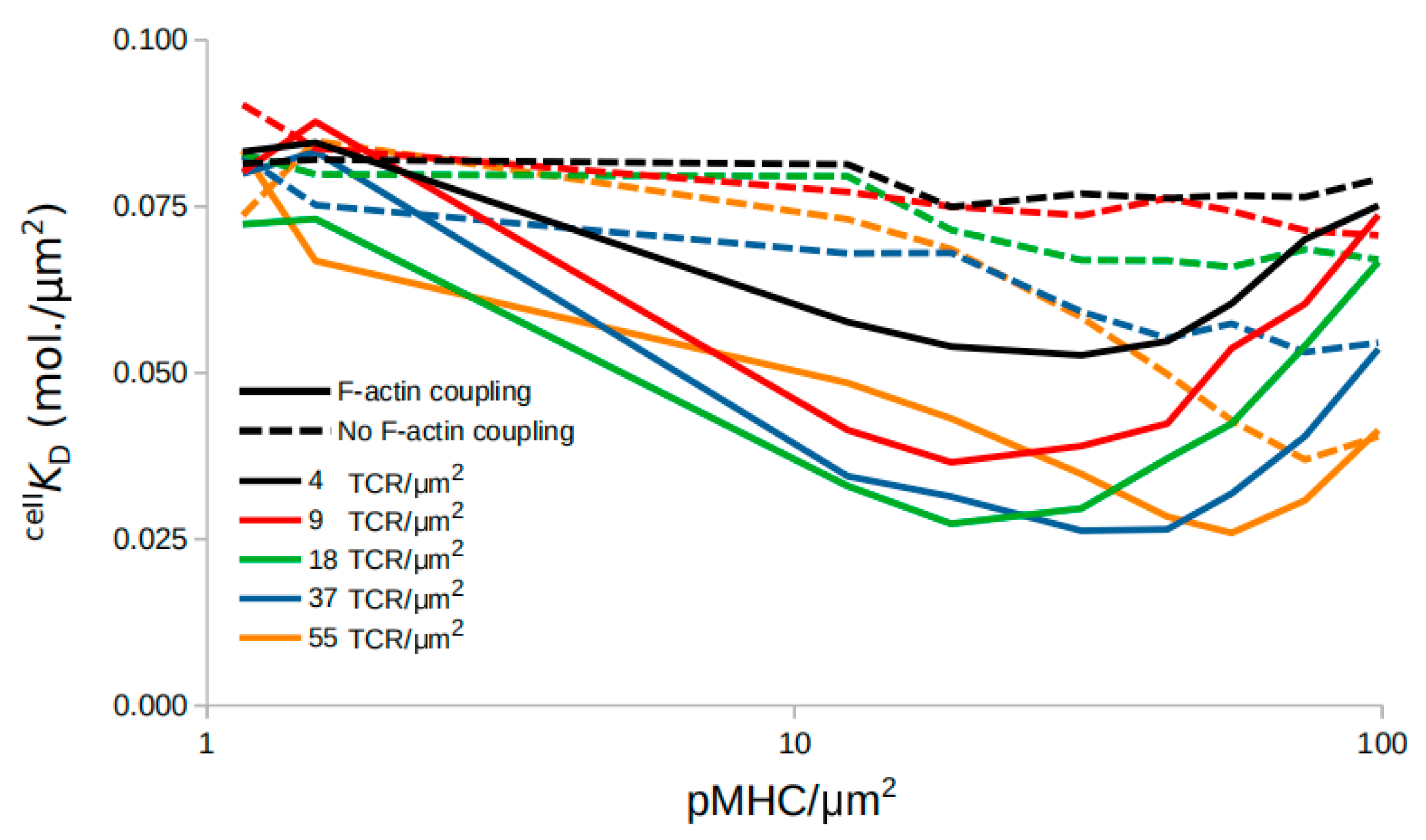 Ijms 21 06473 g003 Ijms 21 06473 g003