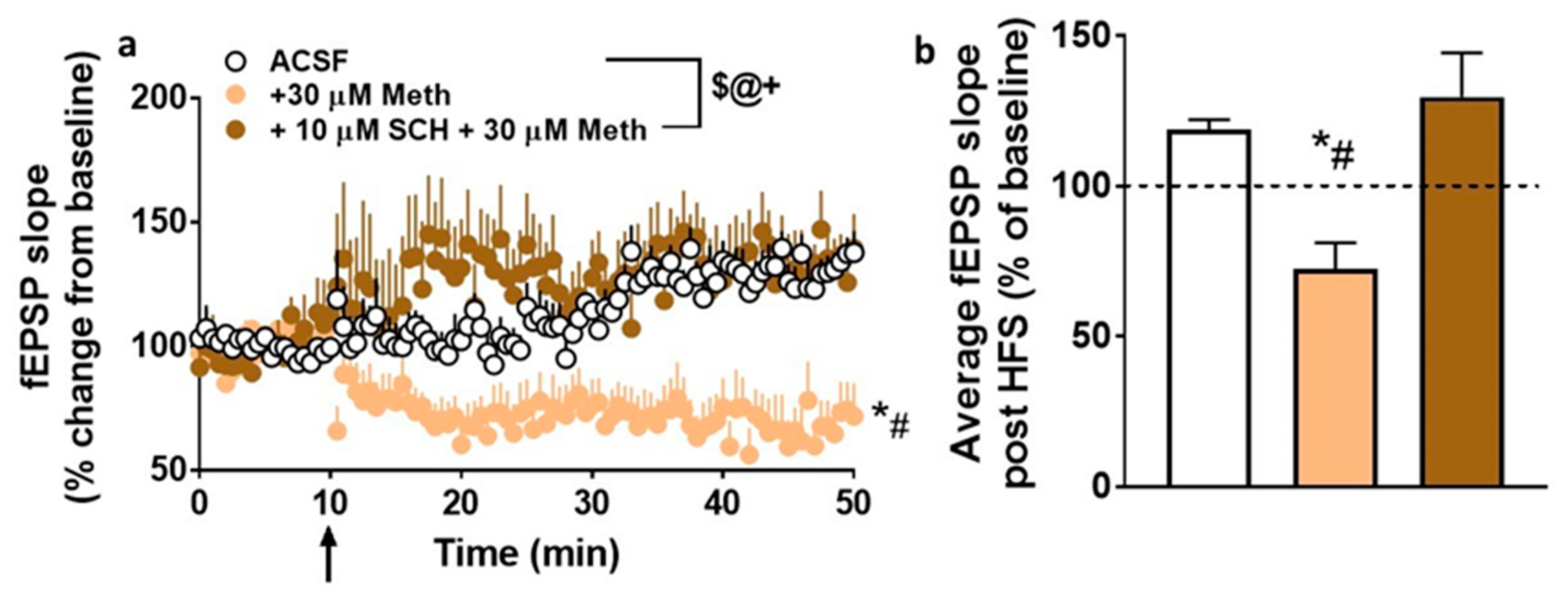 Ijms 21 06491 g006 Ijms 21 06491 g006