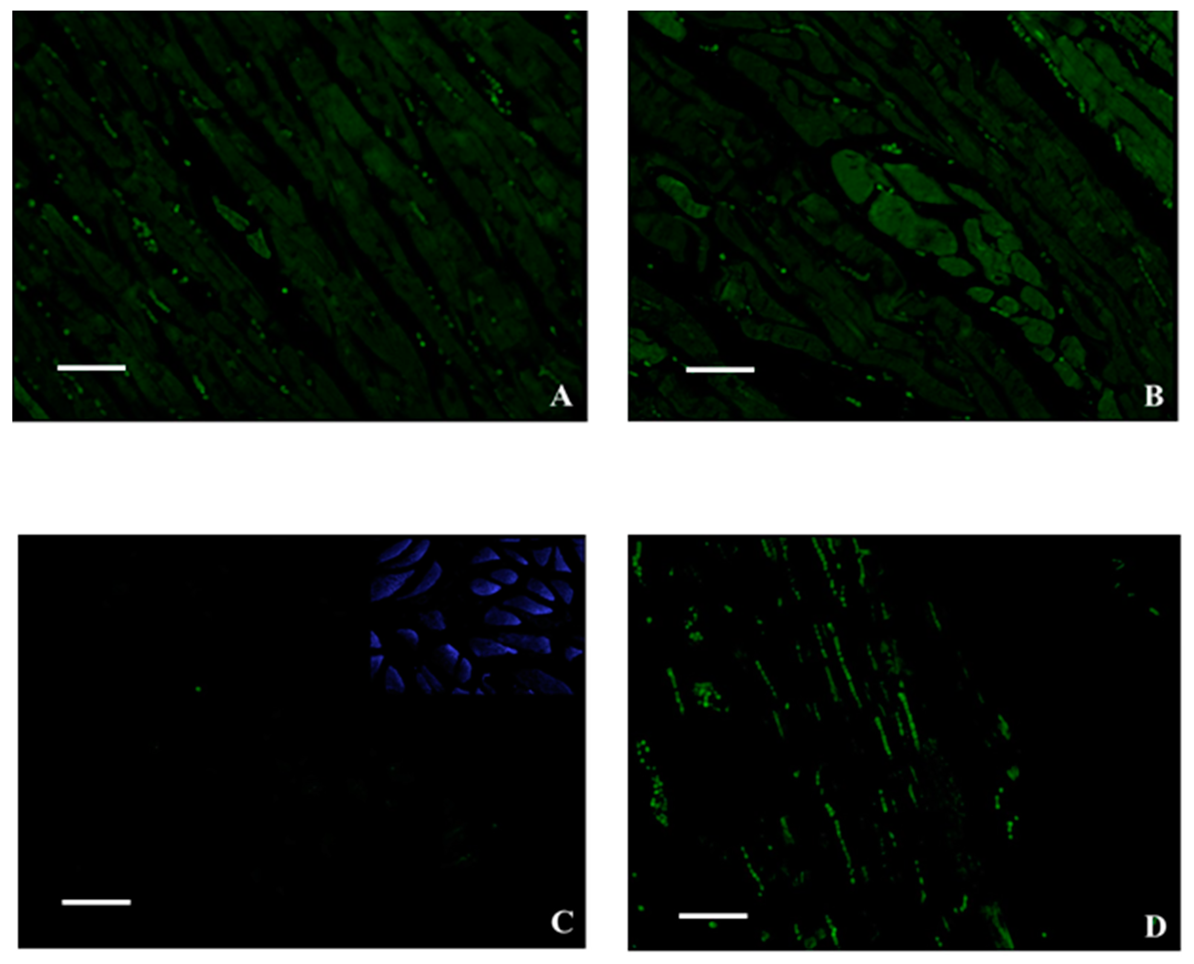 Ijms 21 06494 g002 Ijms 21 06494 g002