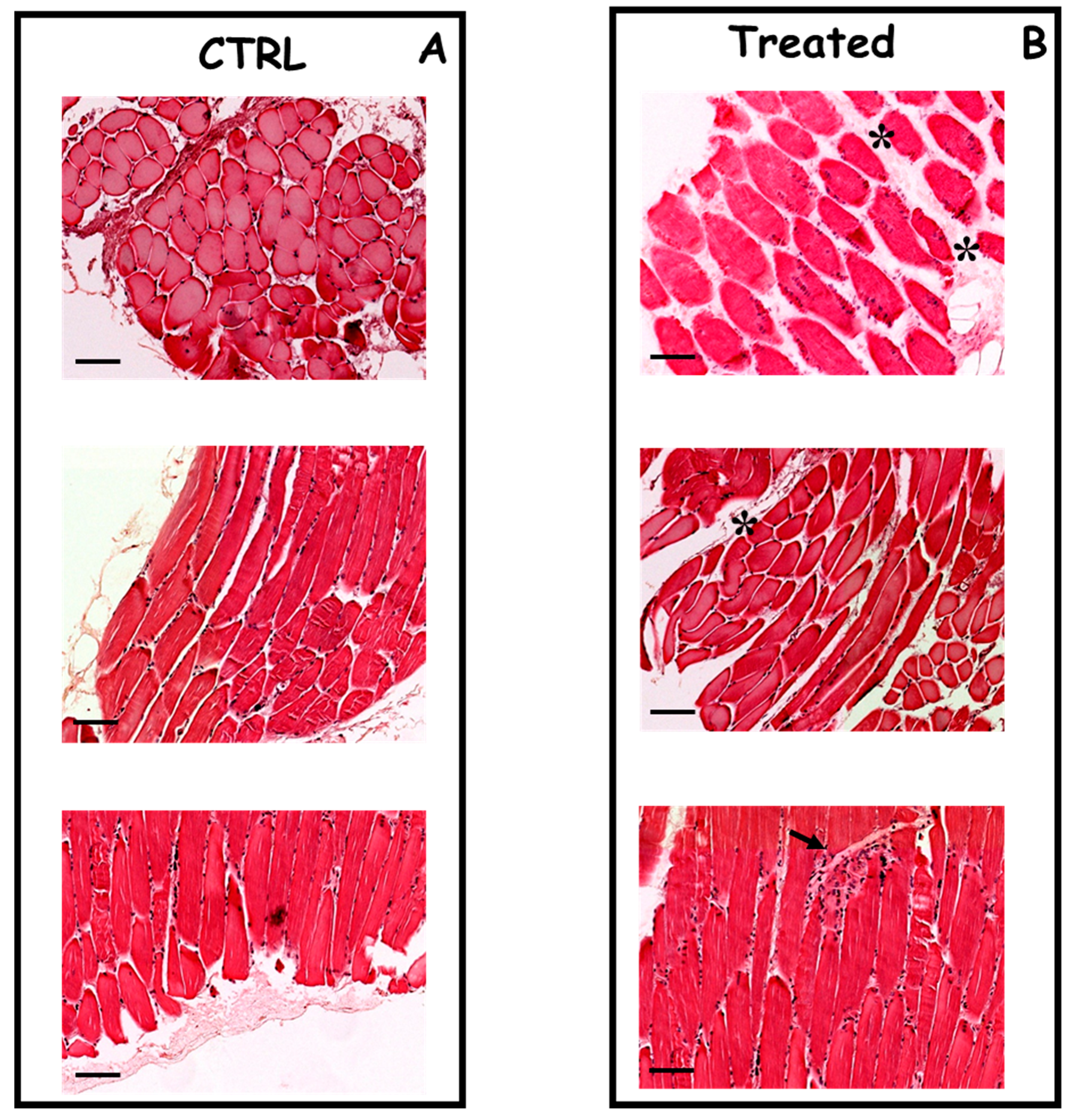 Ijms 21 06494 g003 Ijms 21 06494 g003