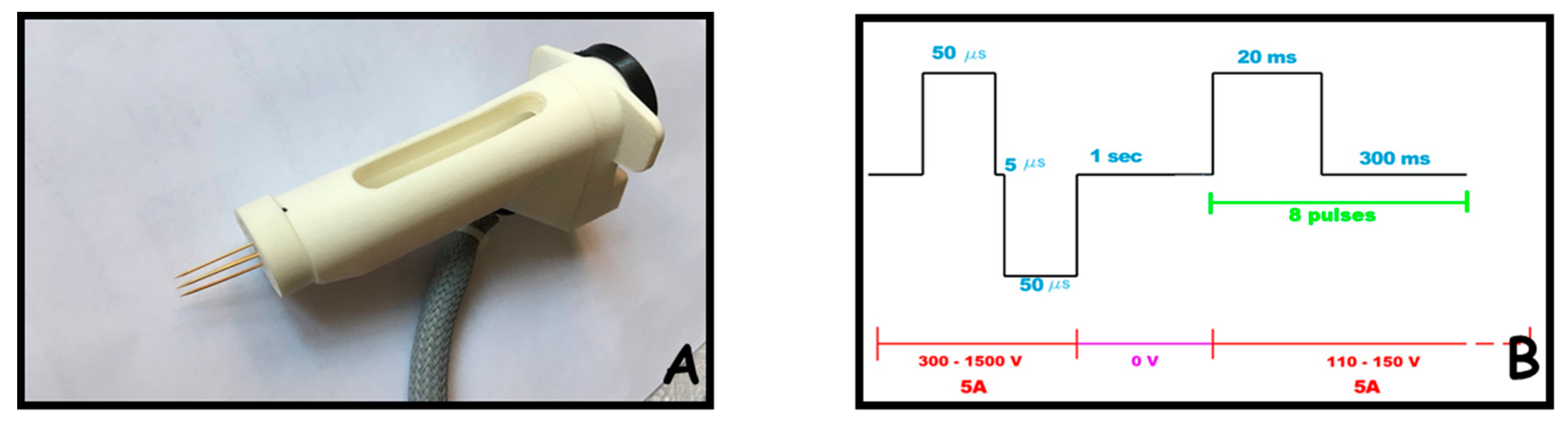 Ijms 21 06494 g005 Ijms 21 06494 g005