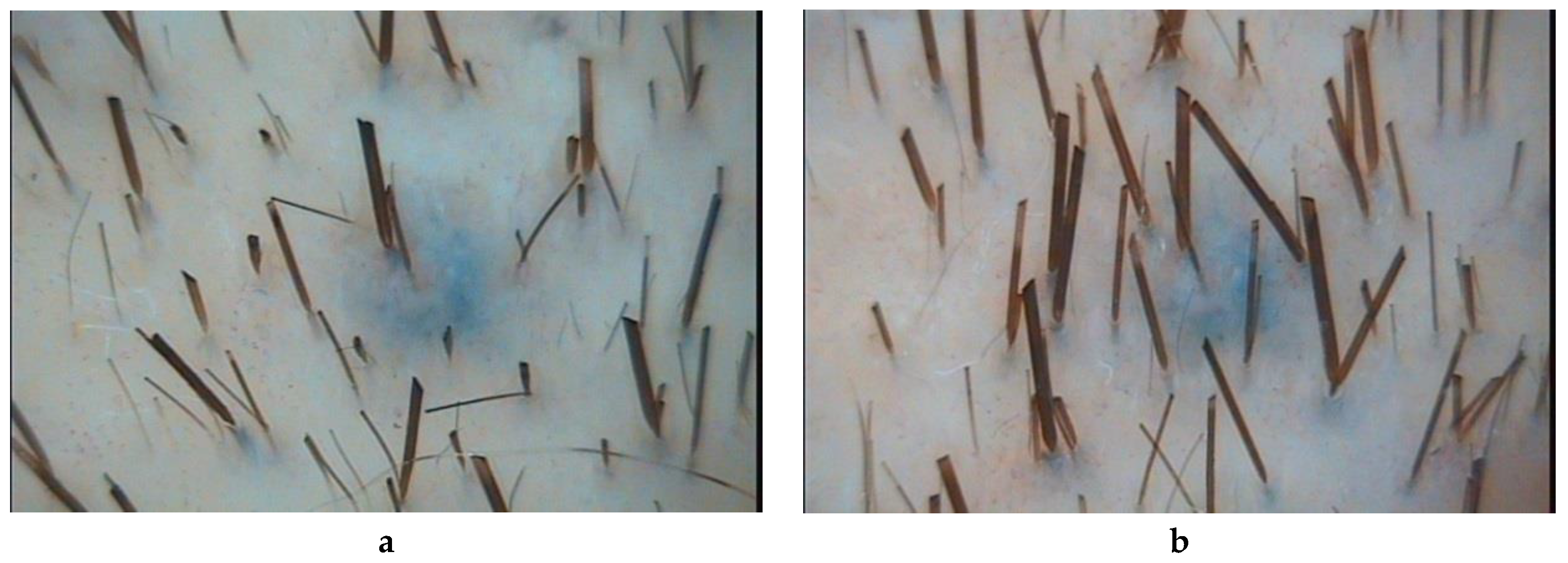 Ijms 21 06516 g001 Ijms 21 06516 g001