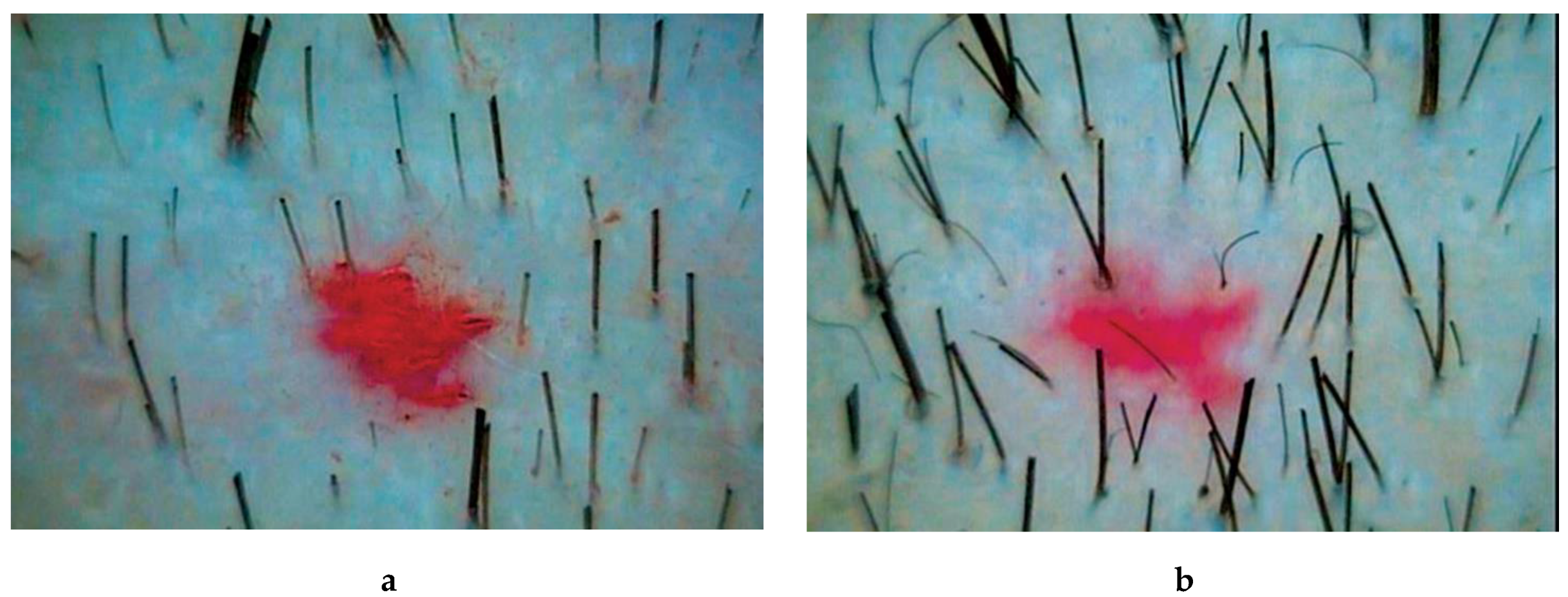 Ijms 21 06516 g002 Ijms 21 06516 g002