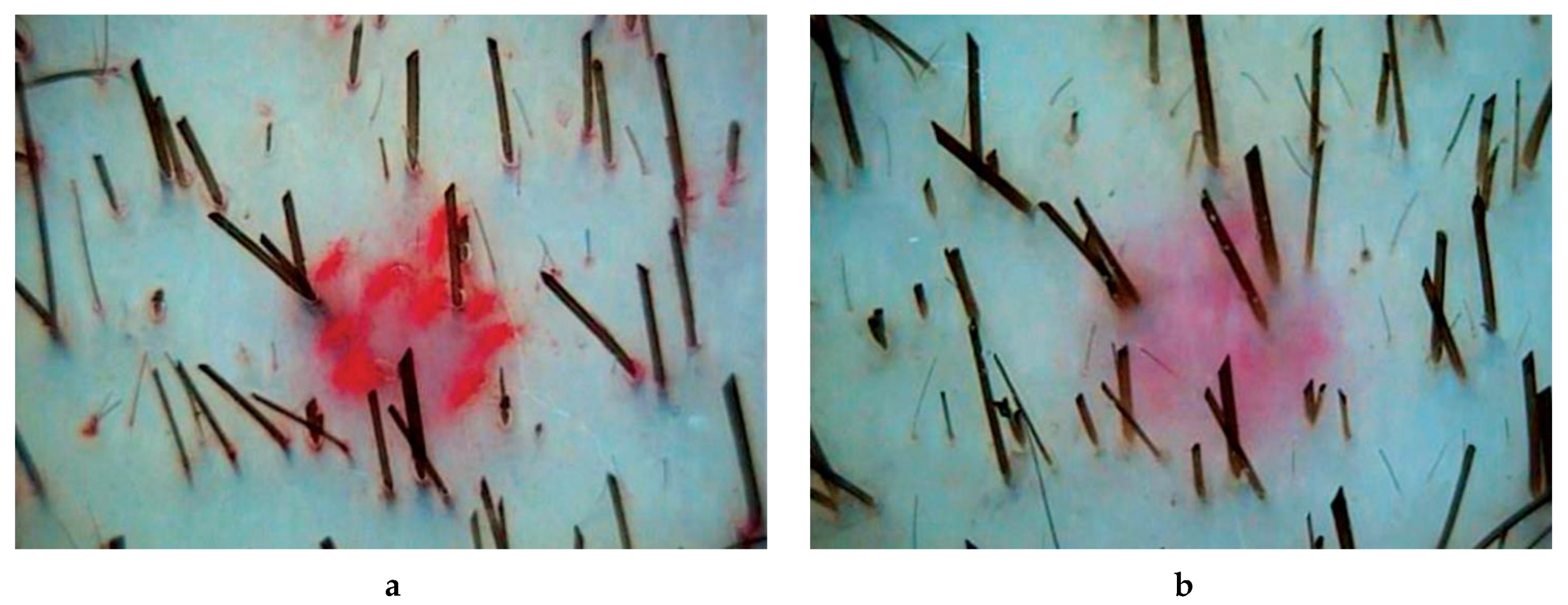 Ijms 21 06516 g003 Ijms 21 06516 g003