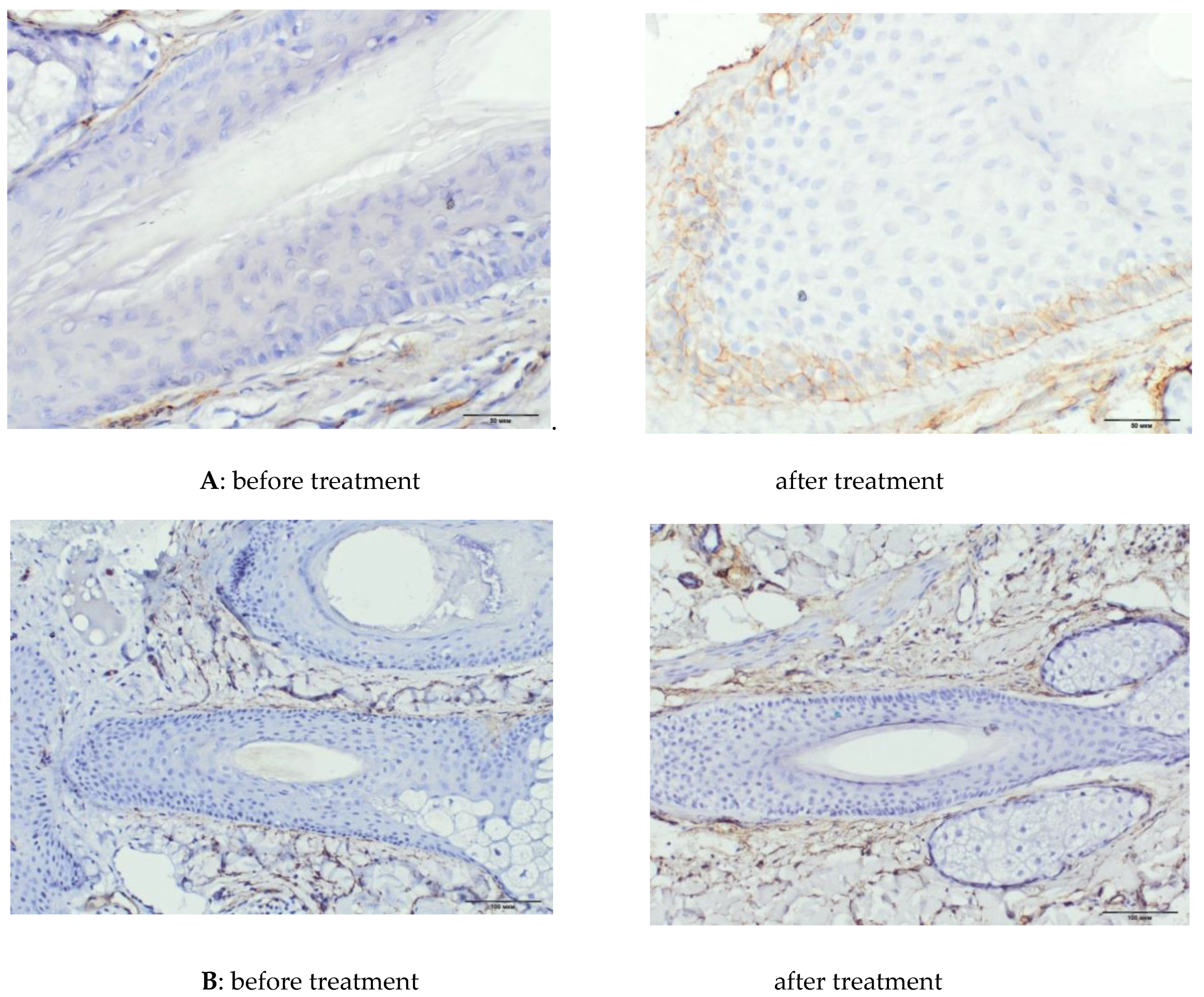 Ijms 21 06516 g005 Ijms 21 06516 g005
