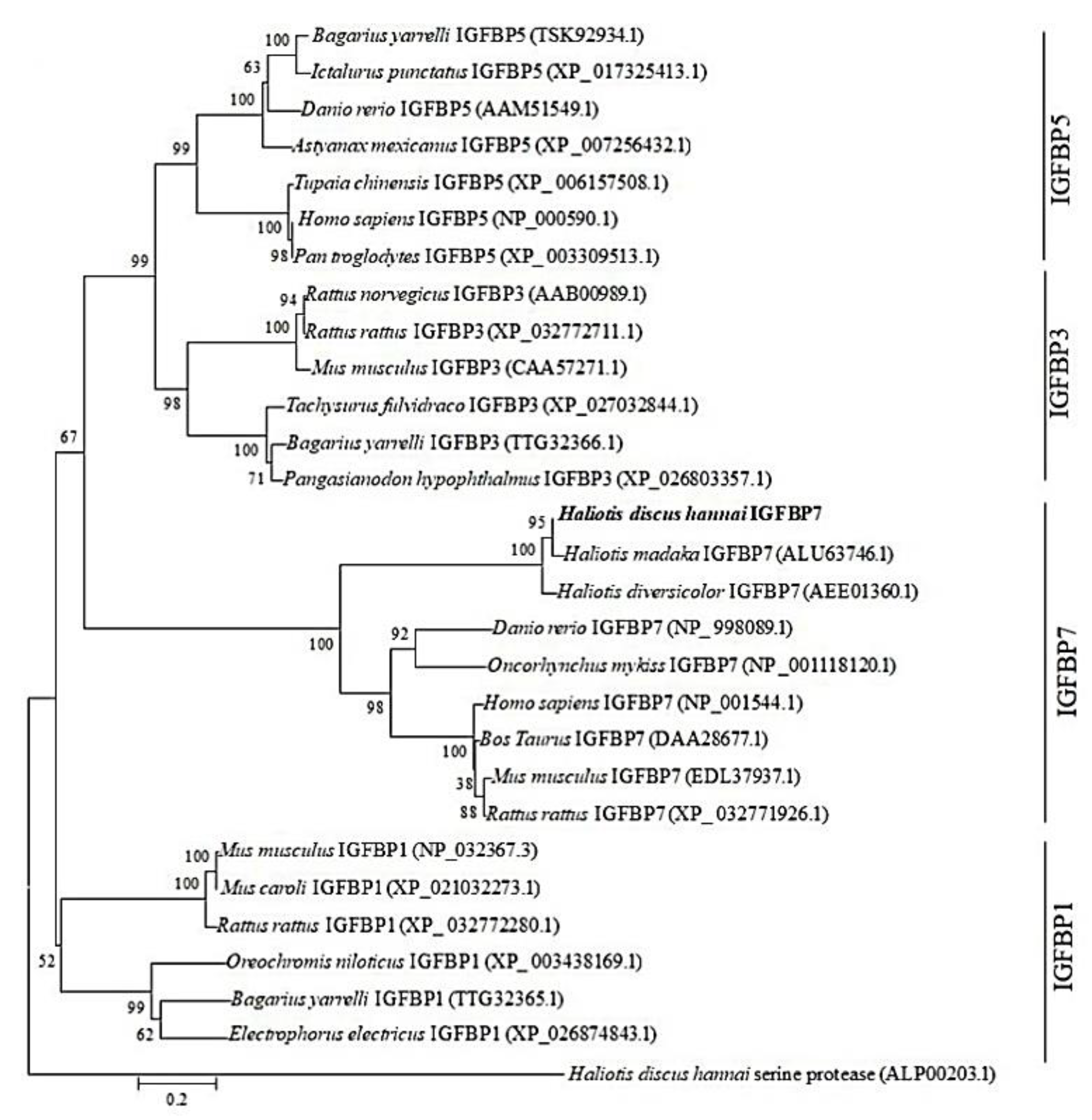 Ijms 21 06529 g004 Ijms 21 06529 g004