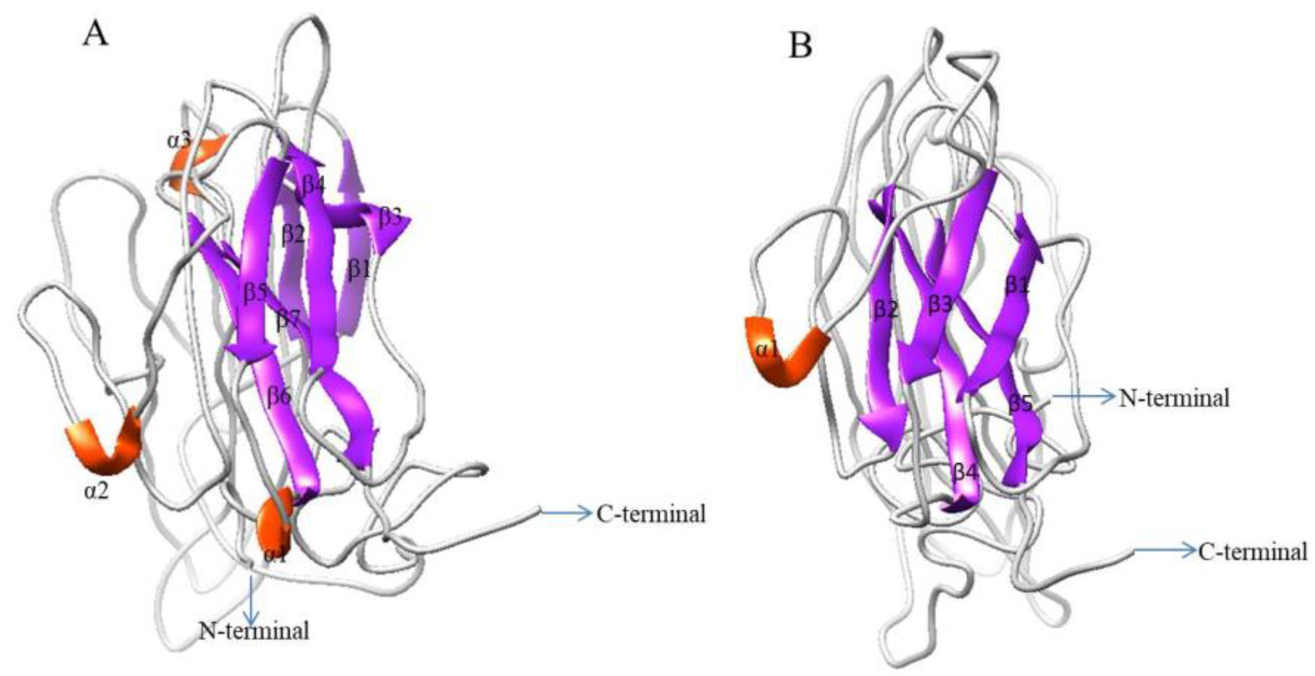 Ijms 21 06529 g005 Ijms 21 06529 g005