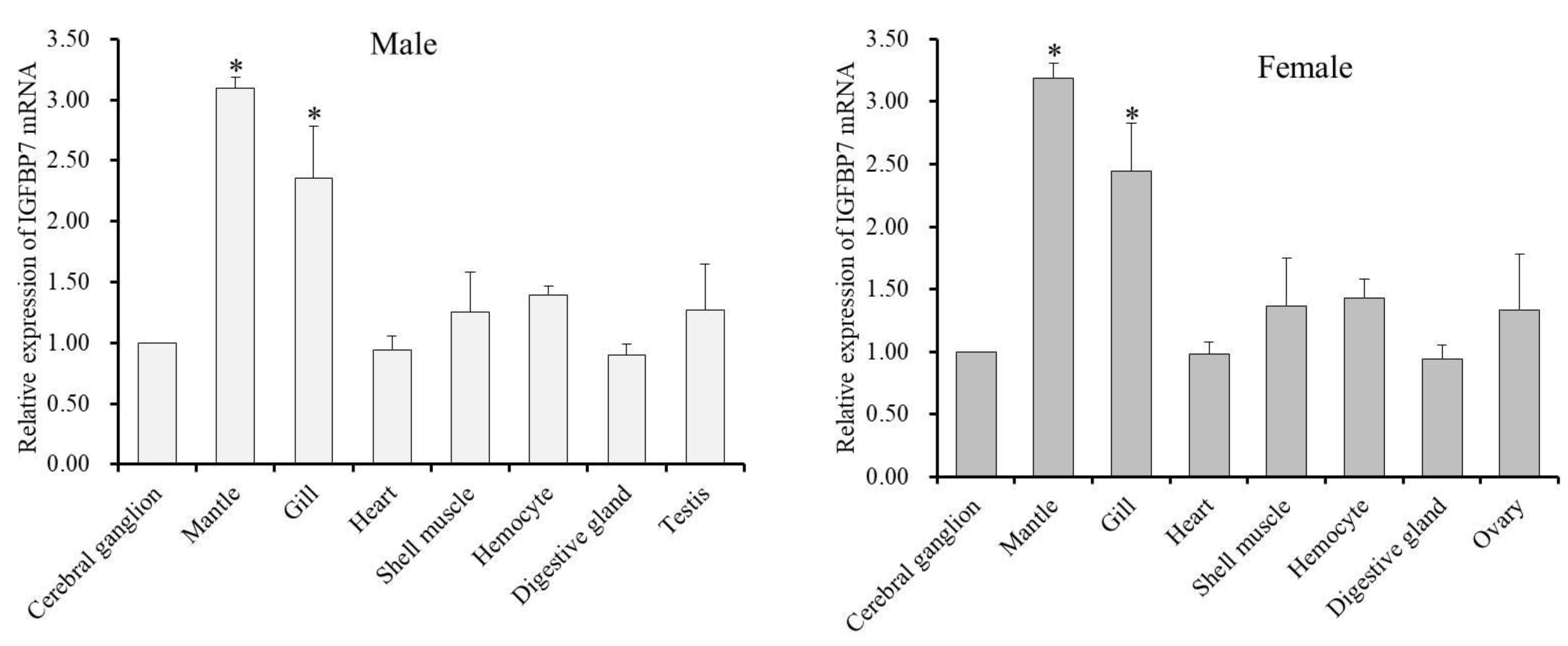 Ijms 21 06529 g006 Ijms 21 06529 g006