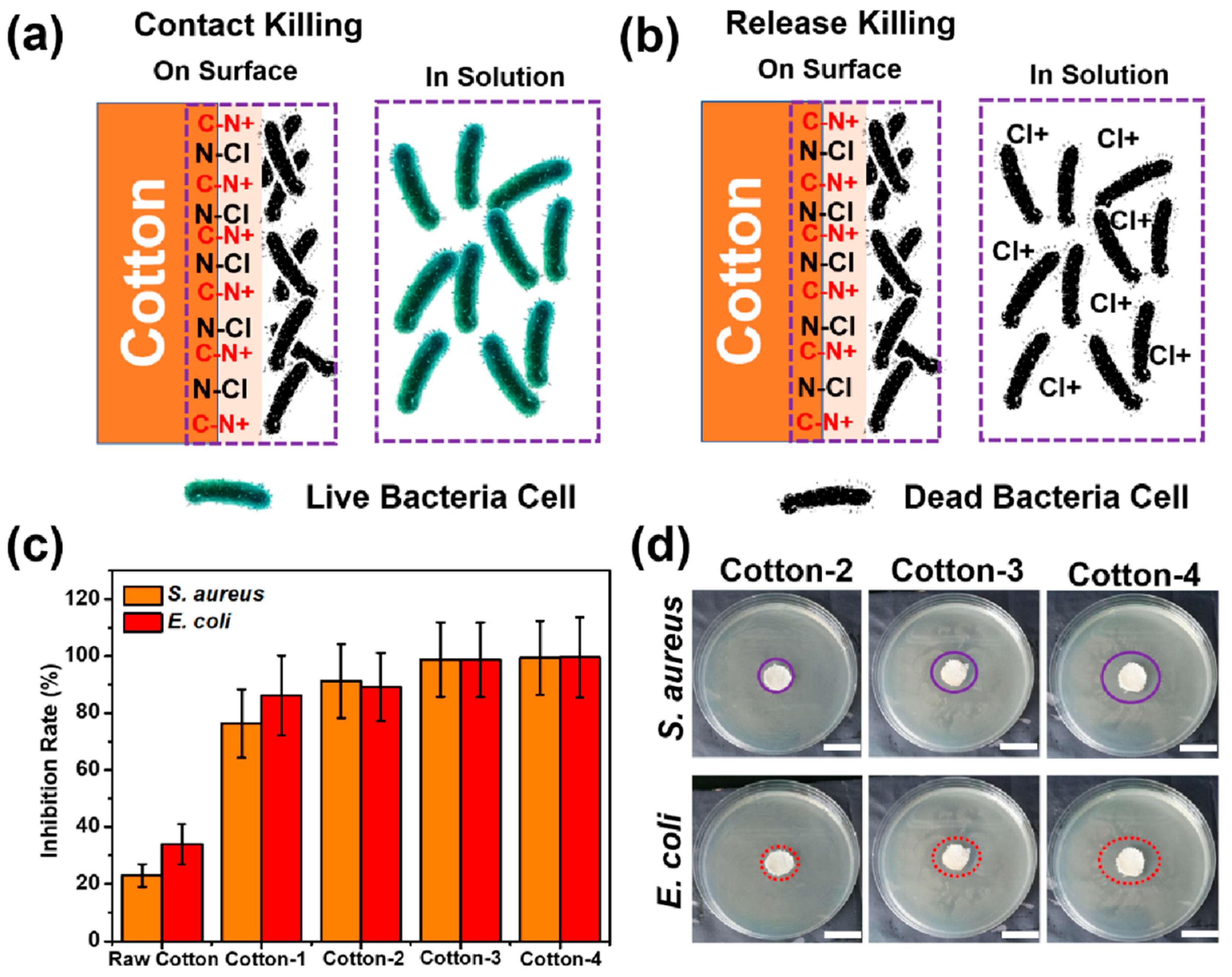 Ijms 21 06531 g004 Ijms 21 06531 g004