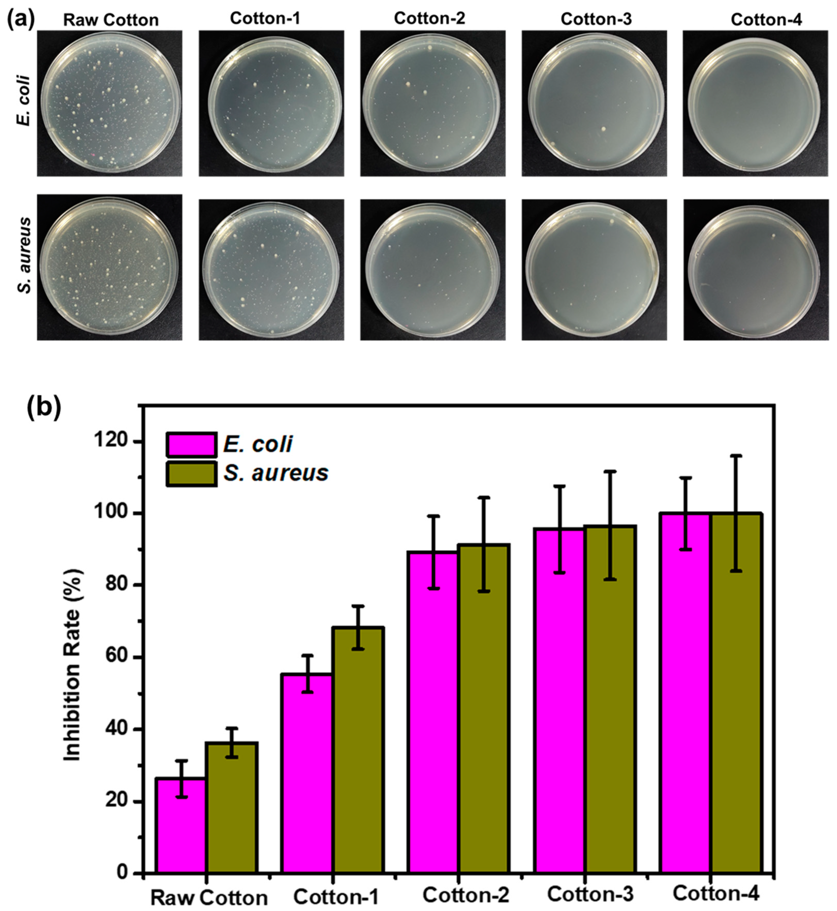 Ijms 21 06531 g005 Ijms 21 06531 g005