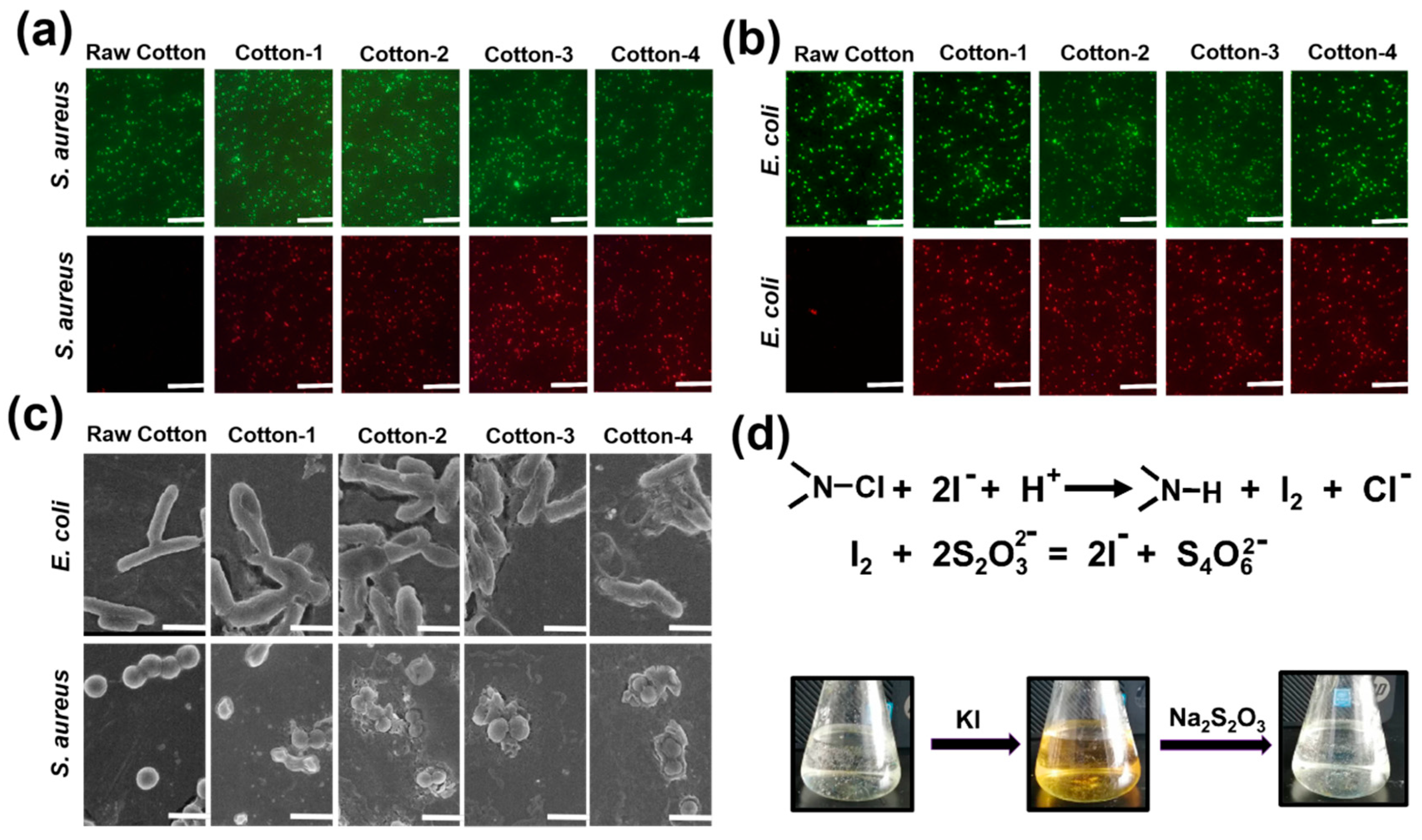 Ijms 21 06531 g006 Ijms 21 06531 g006