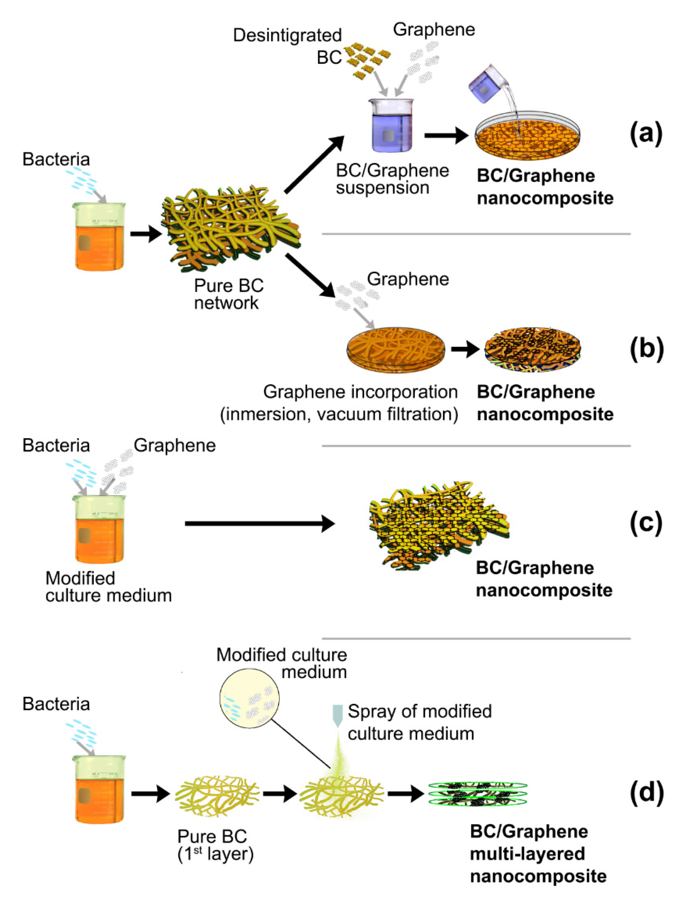 Ijms 21 06532 g001 Ijms 21 06532 g001