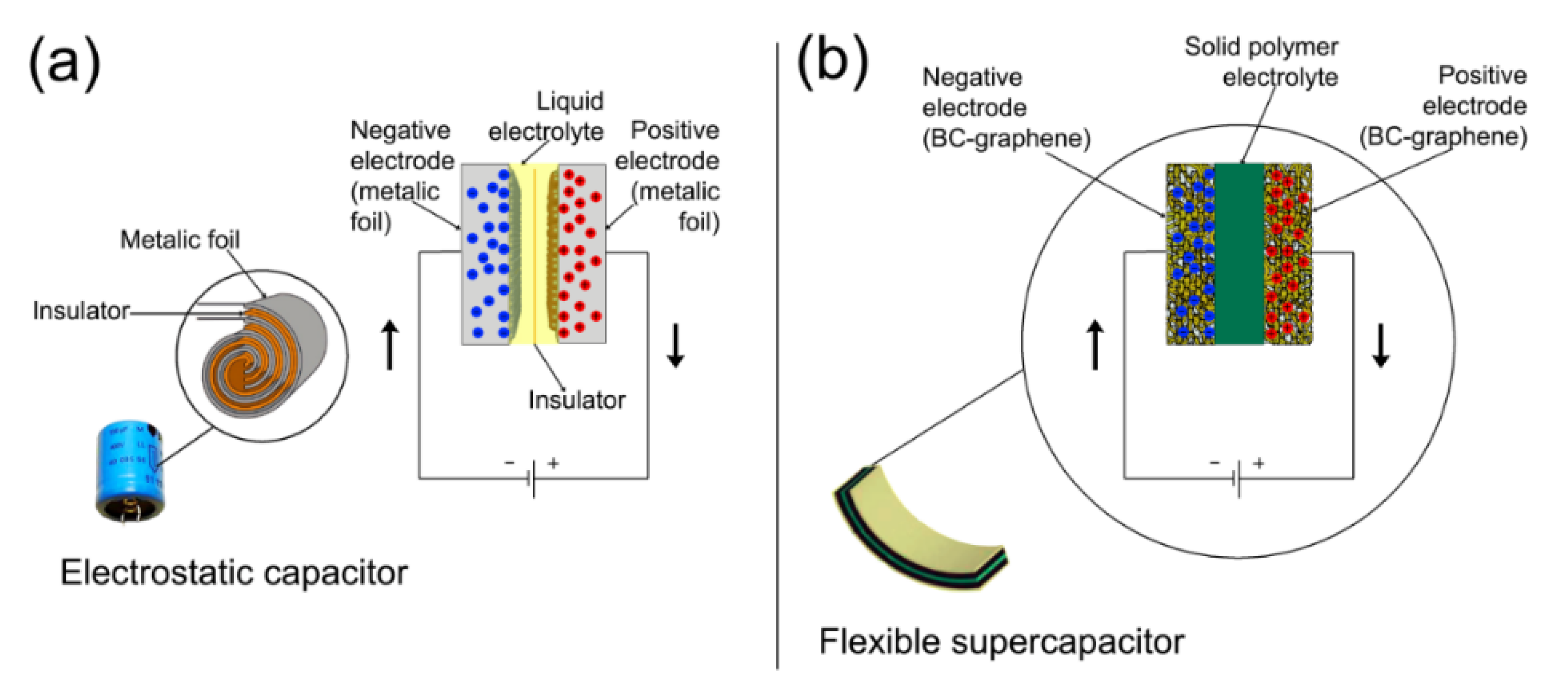 Ijms 21 06532 g002 Ijms 21 06532 g002