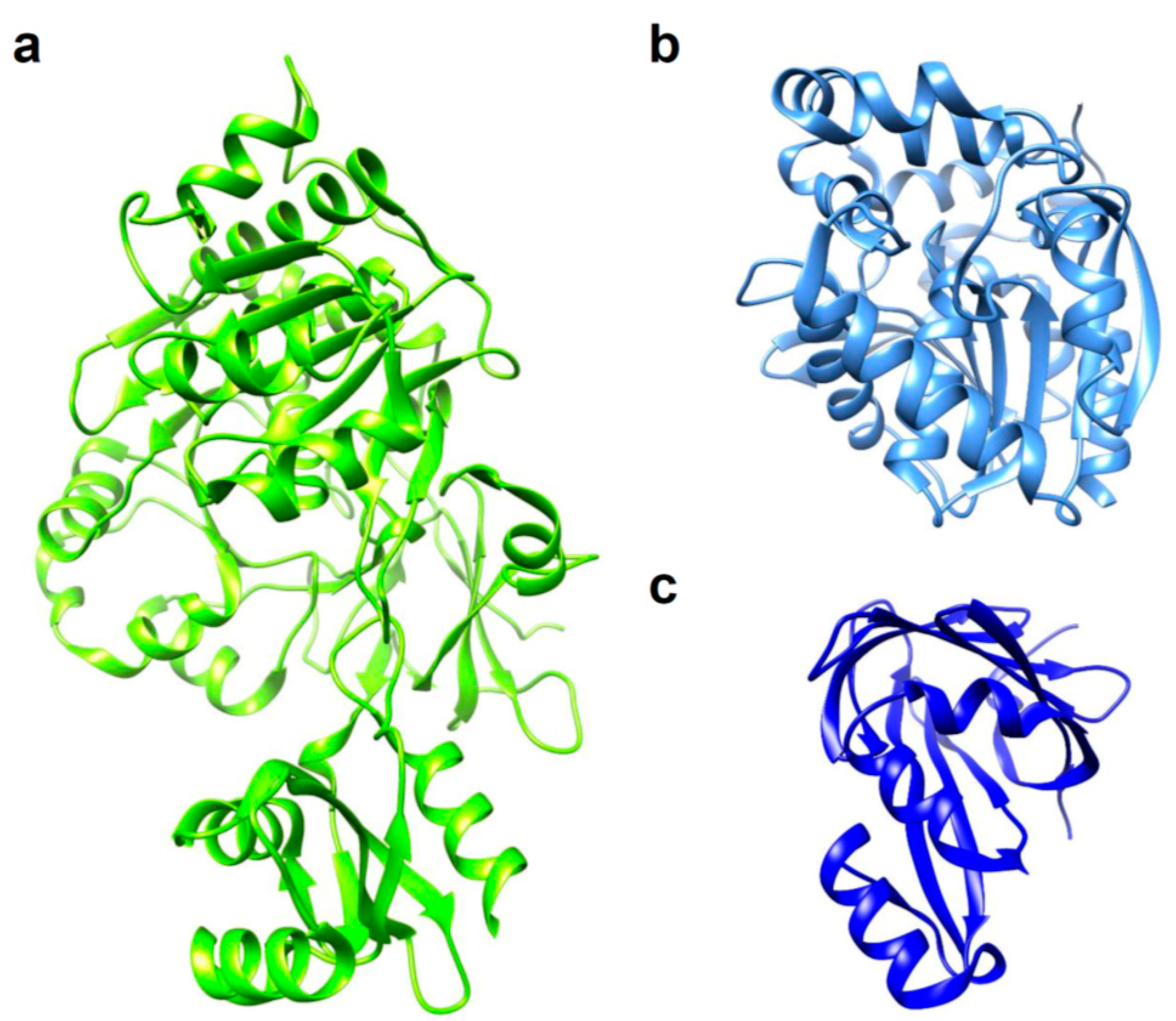 Ijms 21 06538 g001 Ijms 21 06538 g001