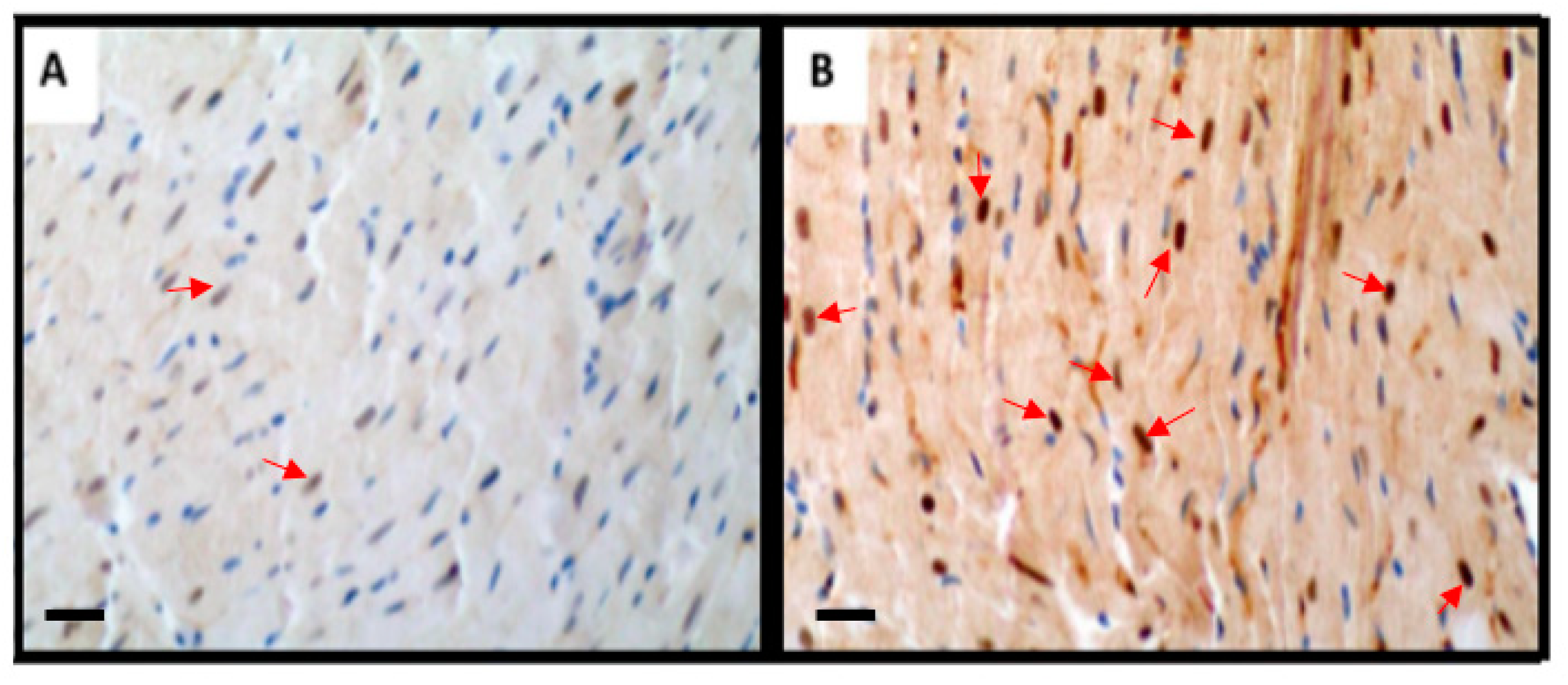 Ijms 21 06548 g004 Ijms 21 06548 g004