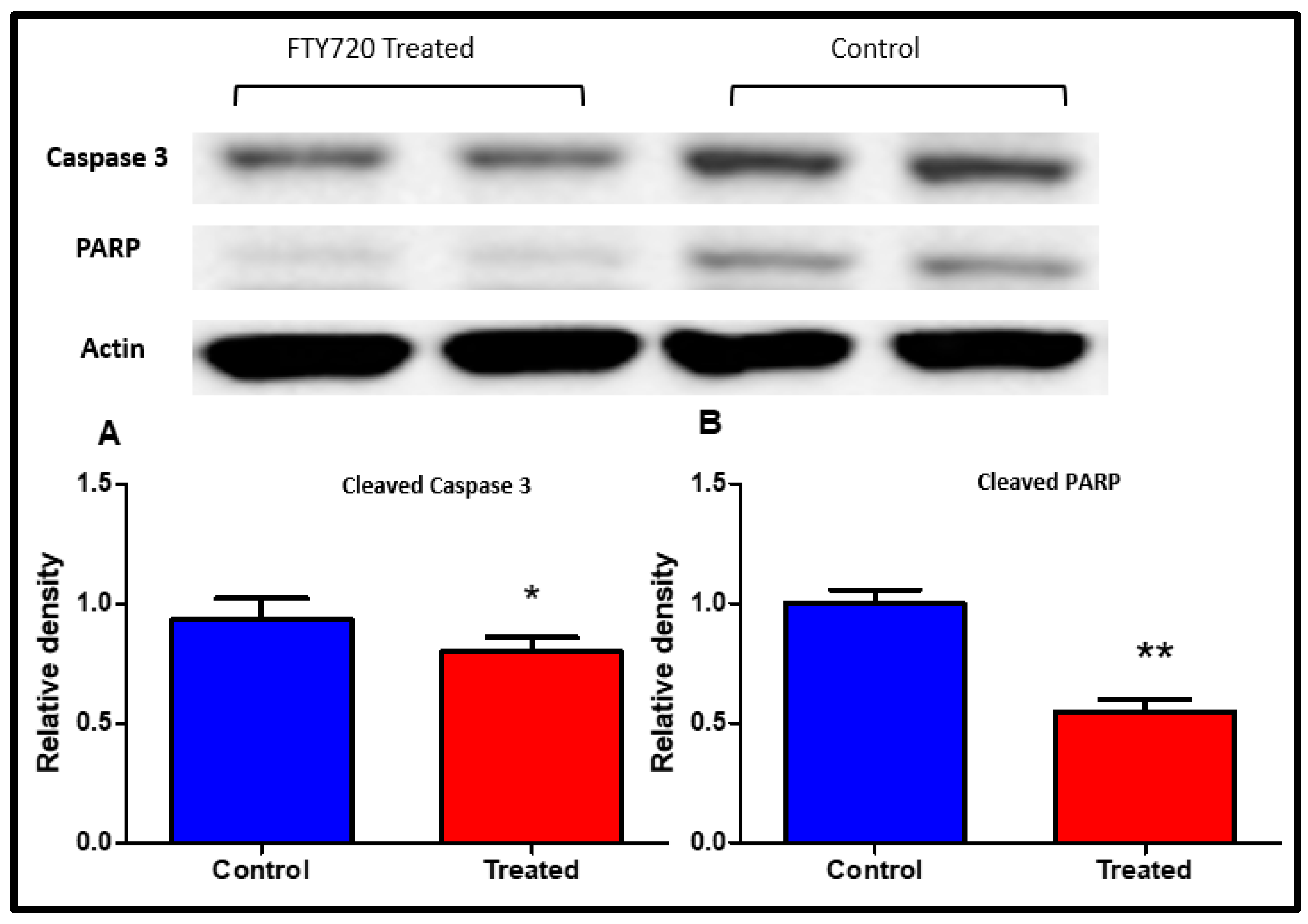 Ijms 21 06548 g005 Ijms 21 06548 g005