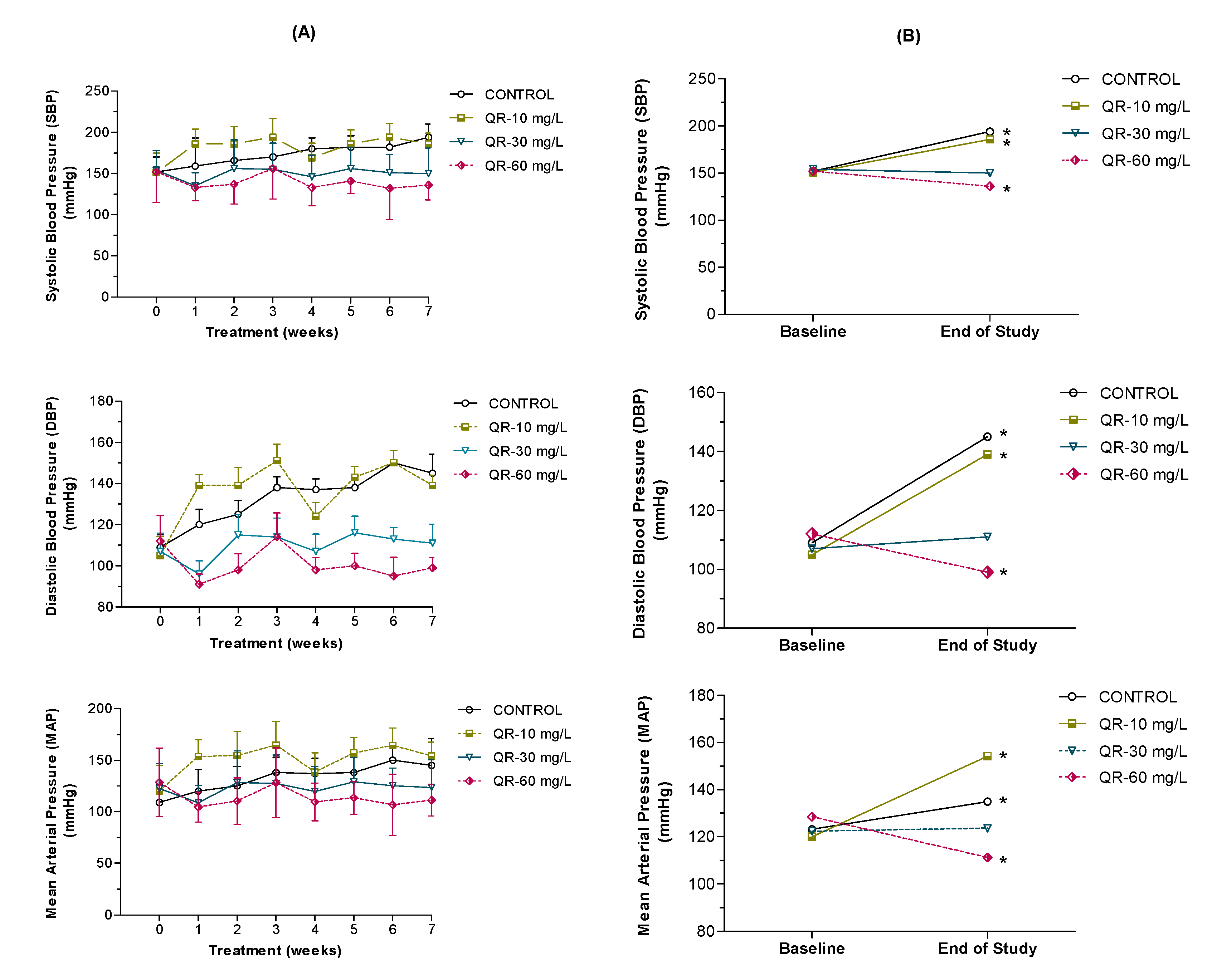 Ijms 21 06554 g003 Ijms 21 06554 g003