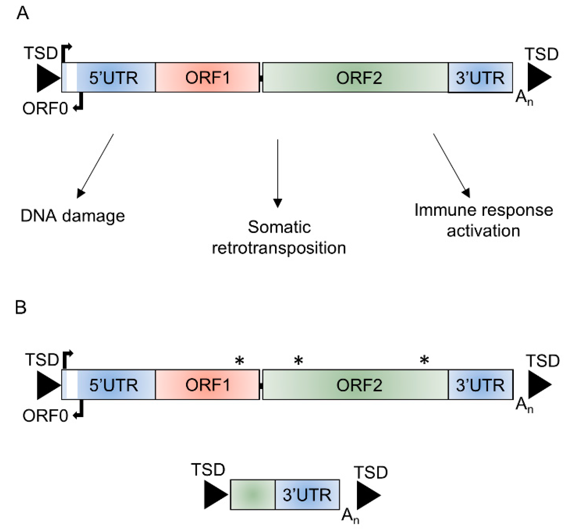 Ijms 21 06562 g001 Ijms 21 06562 g001