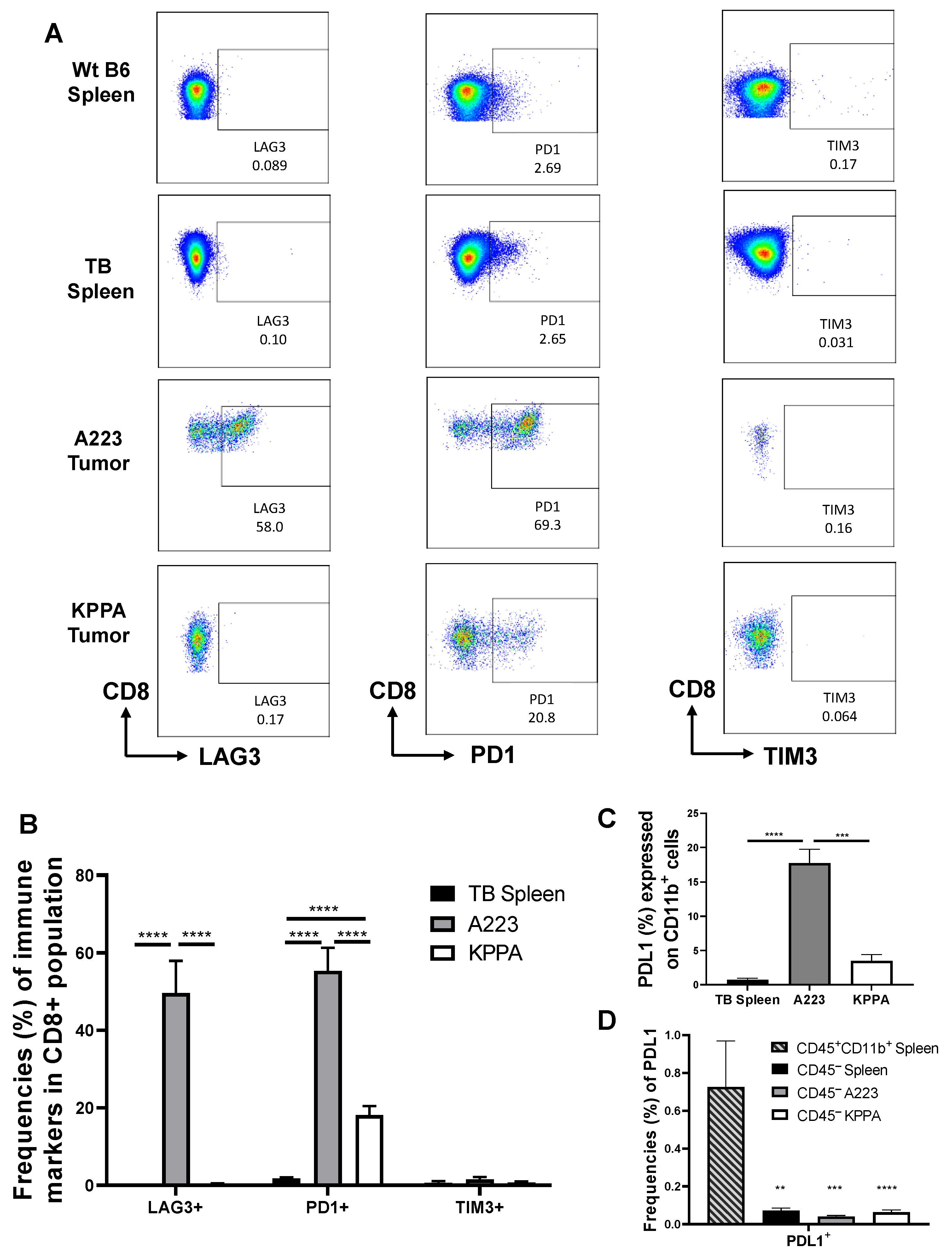 Ijms 21 06585 g004 Ijms 21 06585 g004
