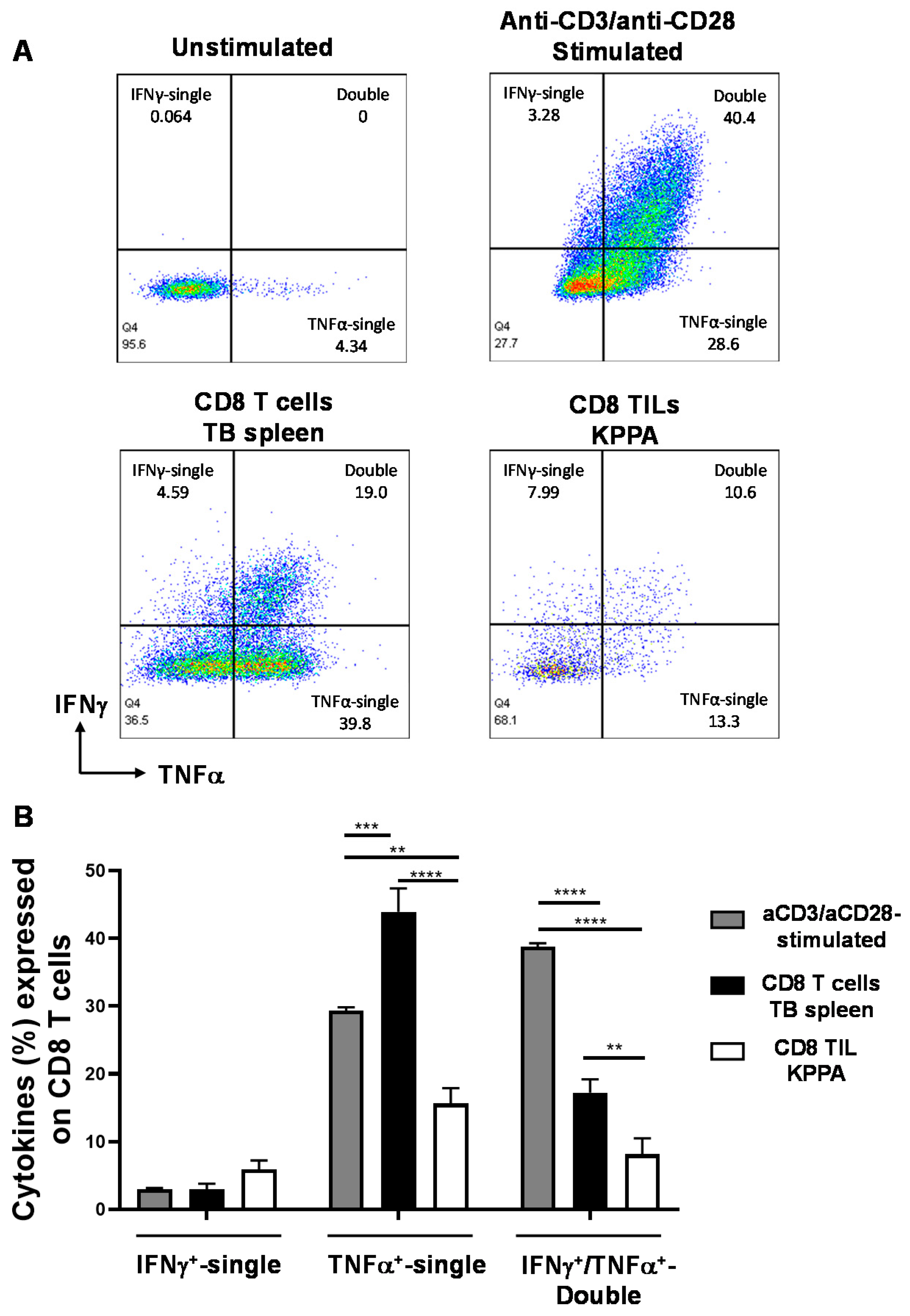 Ijms 21 06585 g005 Ijms 21 06585 g005