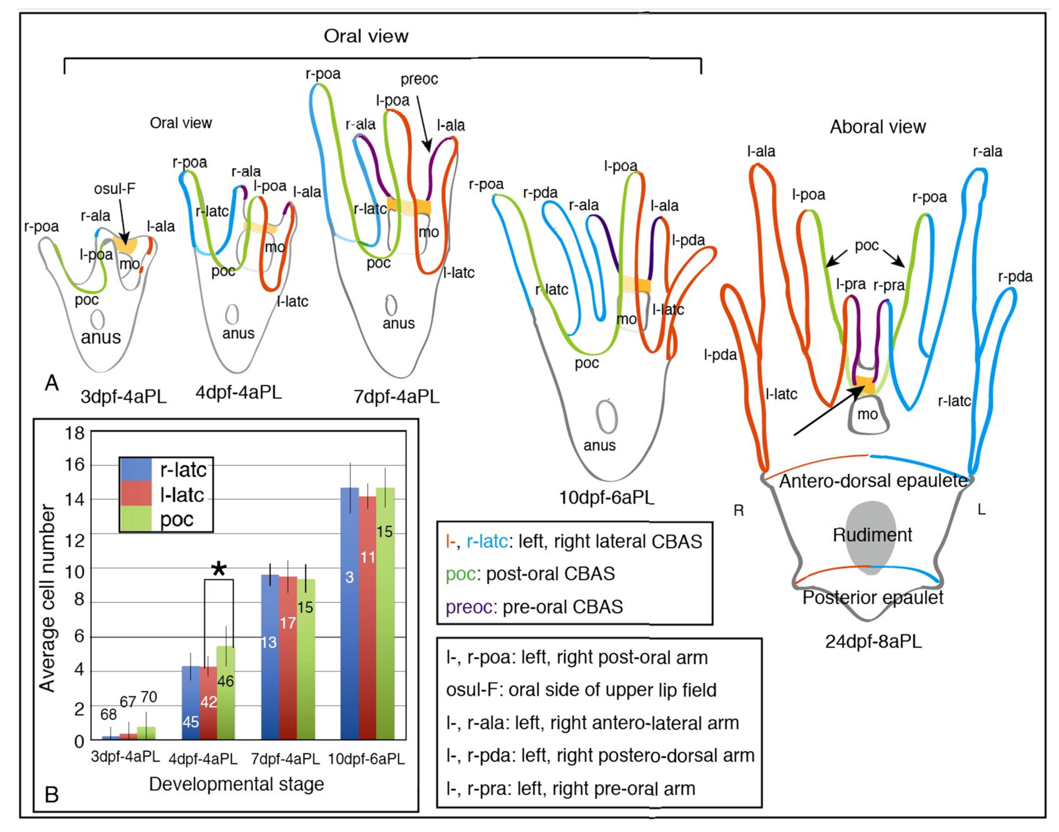 Ijms 21 06587 g003 Ijms 21 06587 g003