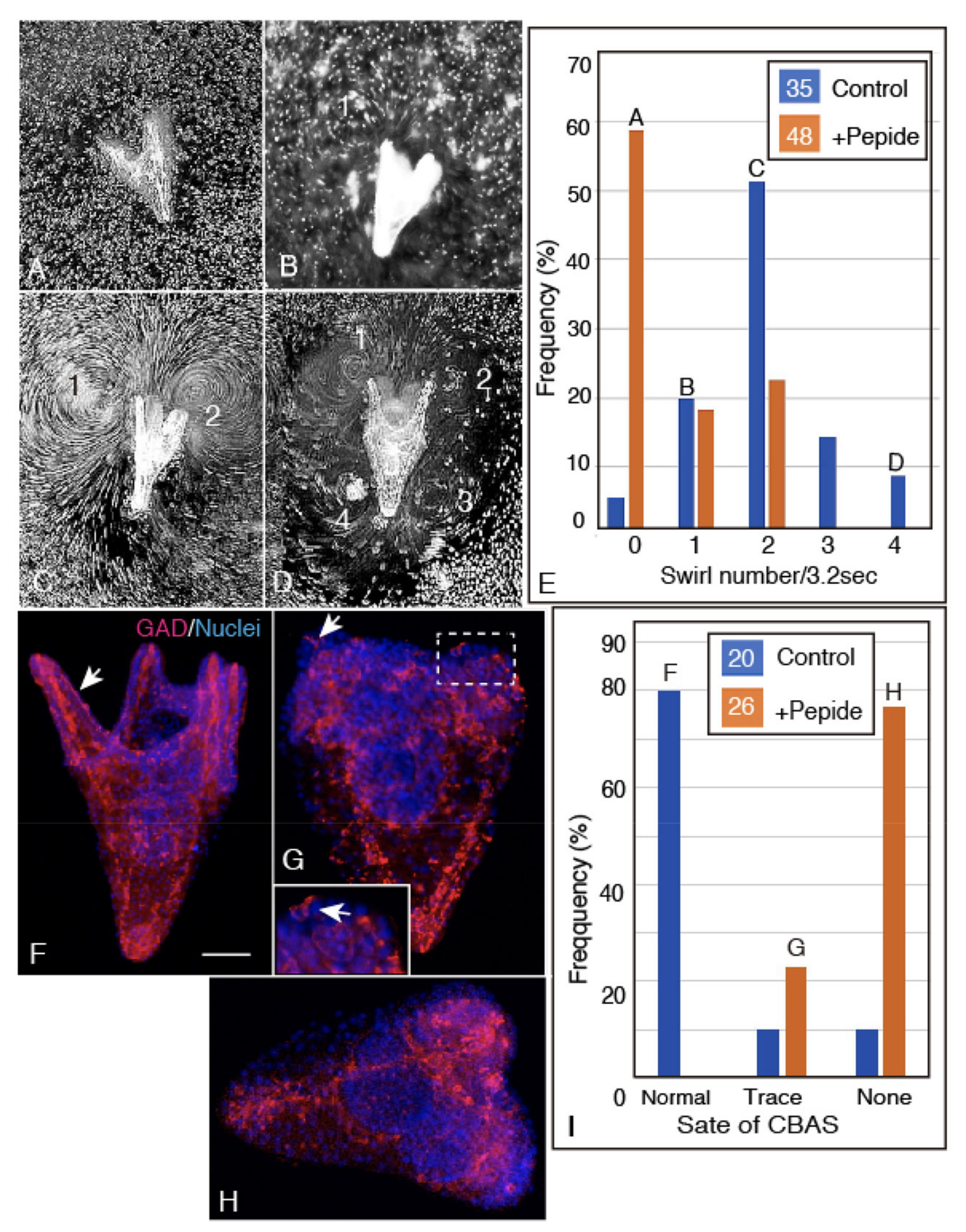 Ijms 21 06587 g009 Ijms 21 06587 g009