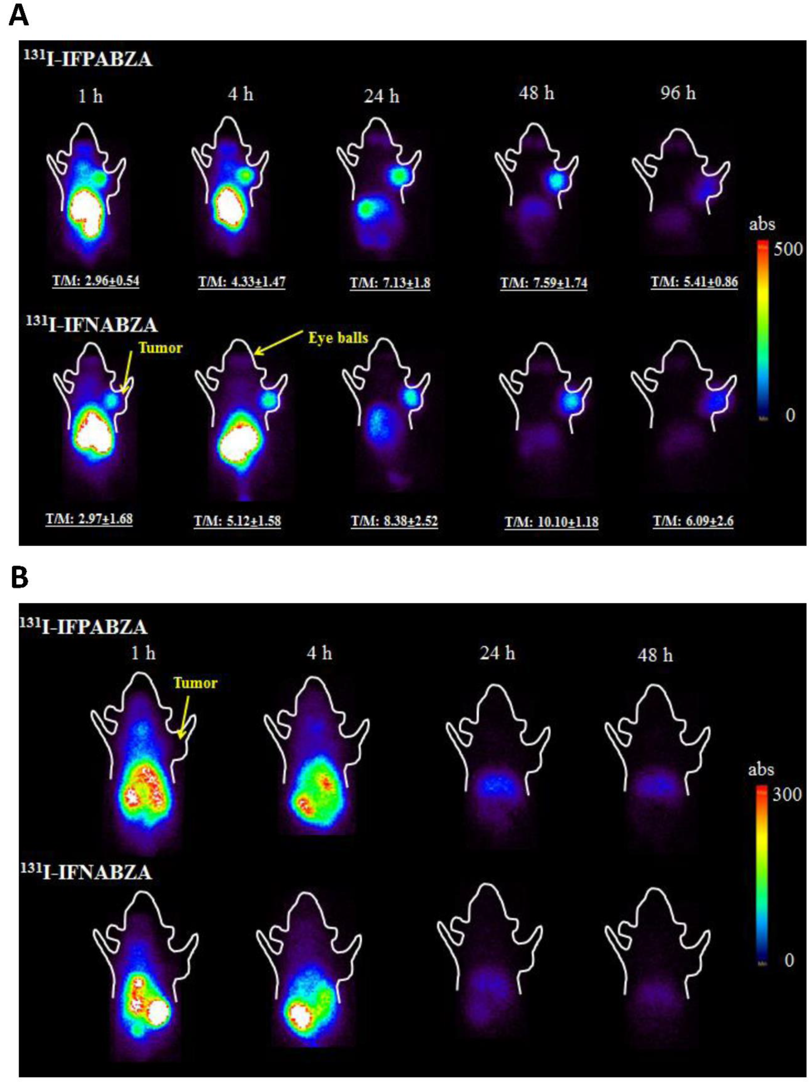 Ijms 21 06597 g006 Ijms 21 06597 g006
