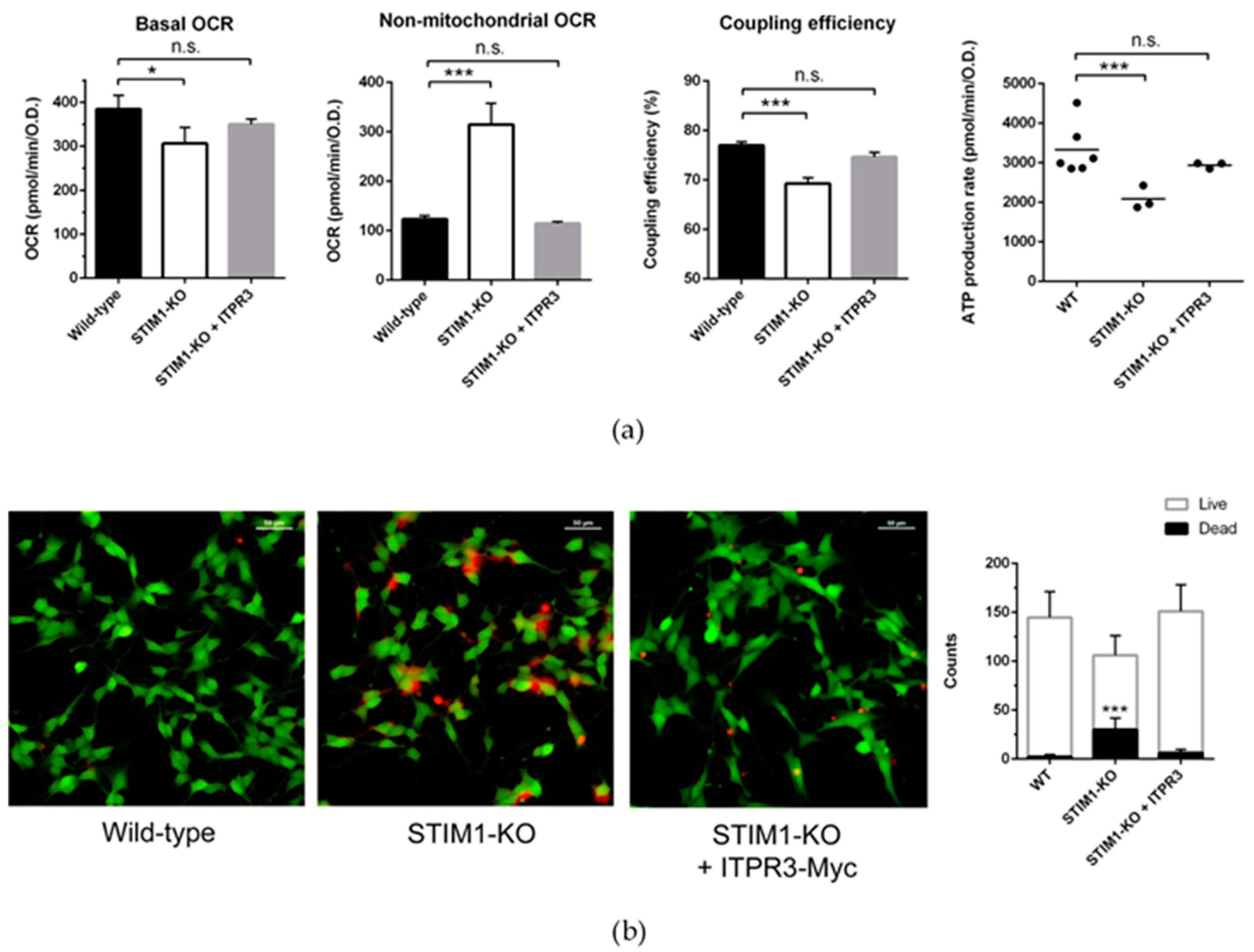 Ijms 21 06598 g005 Ijms 21 06598 g005