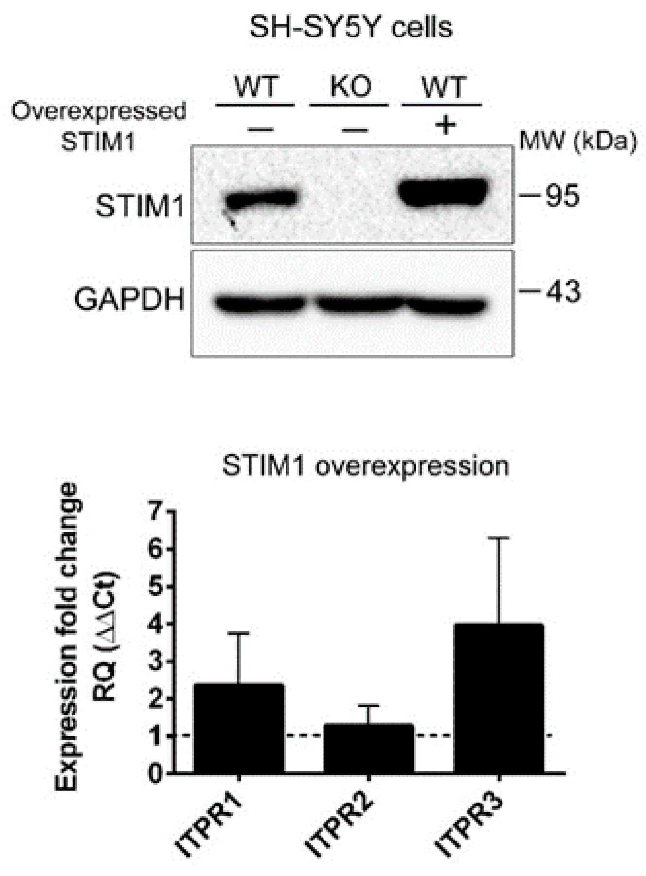 Ijms 21 06598 g0a1 Ijms 21 06598 g0a1