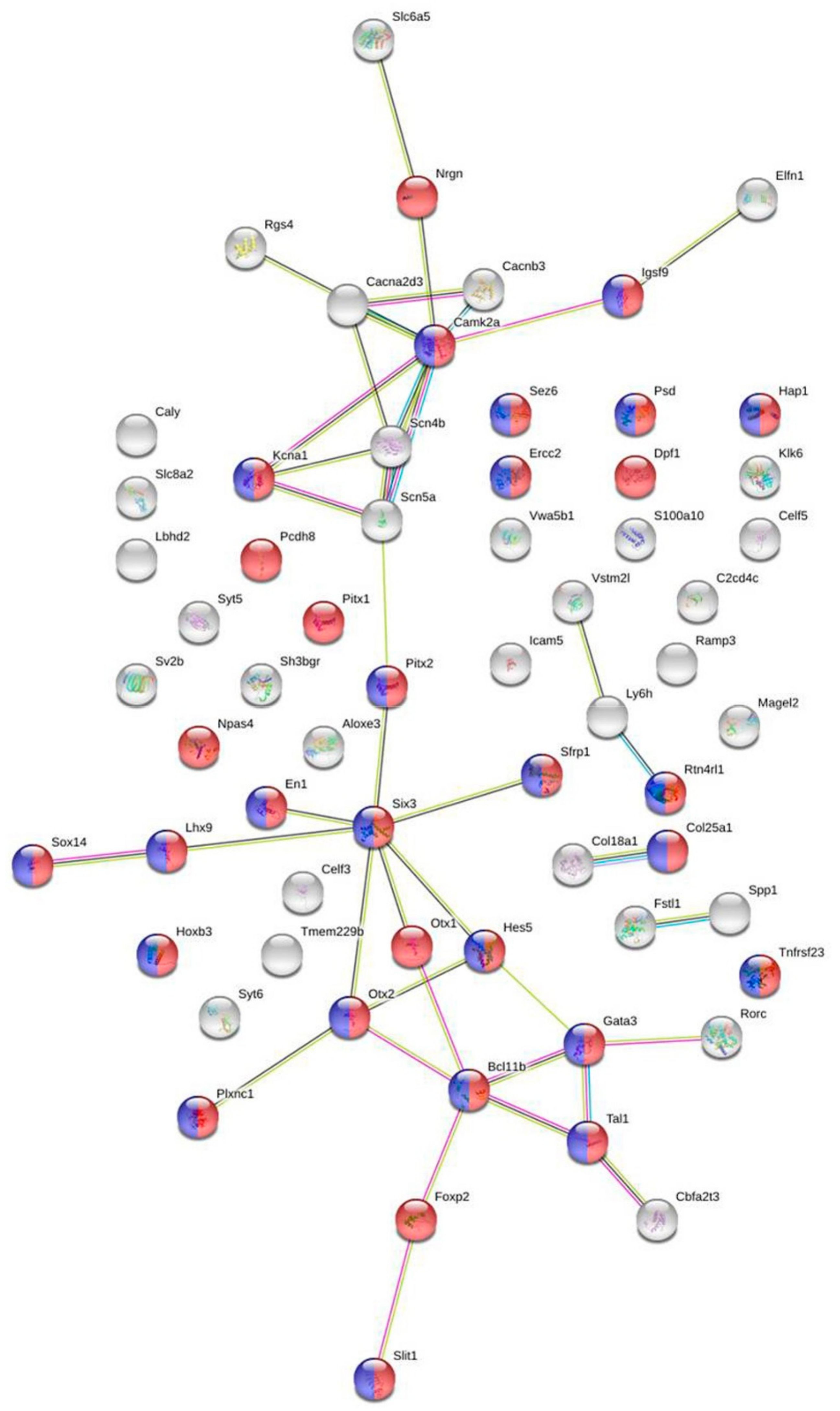 Ijms 21 06599 g002 Ijms 21 06599 g002