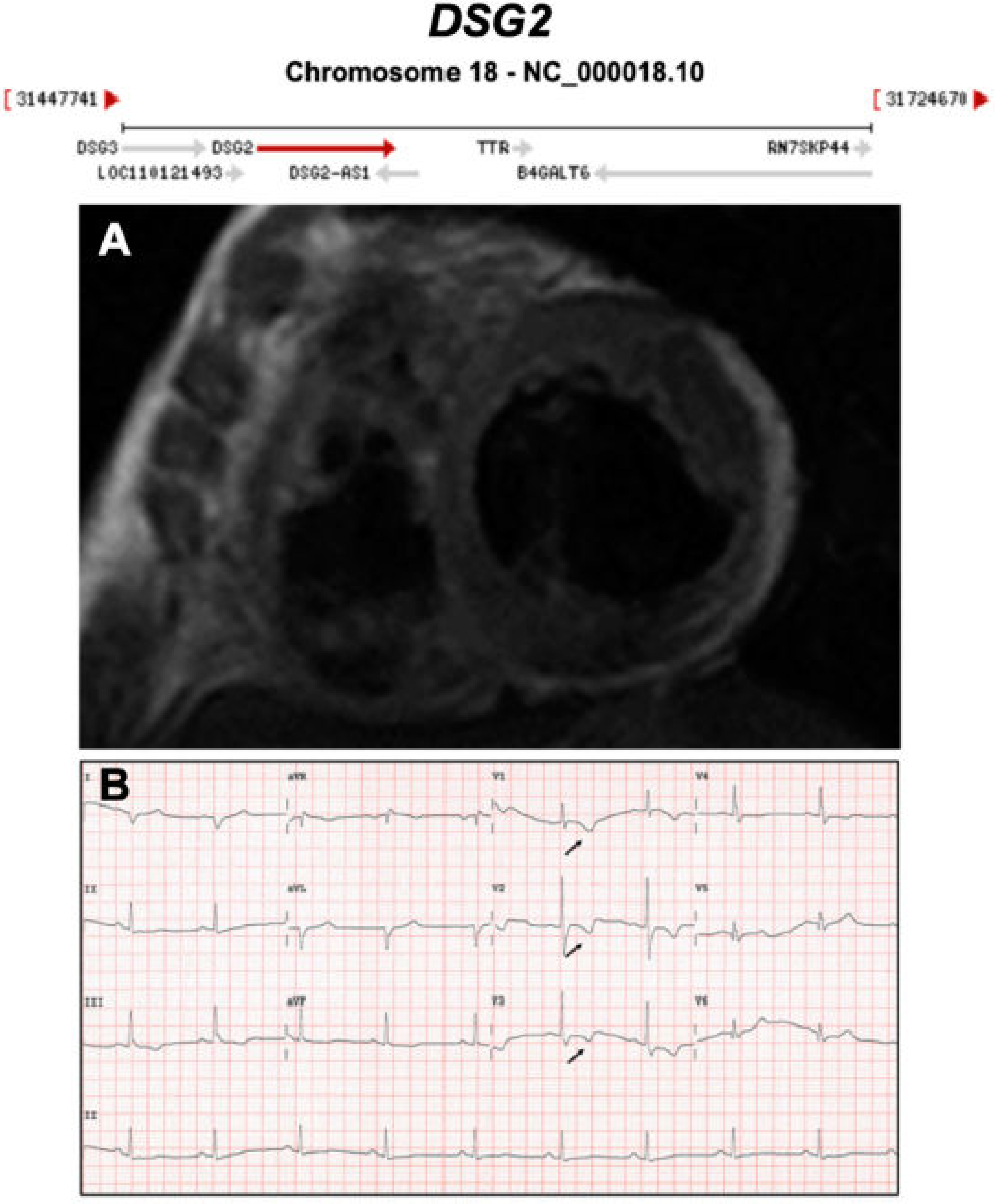 Ijms 21 06615 g005 Ijms 21 06615 g005