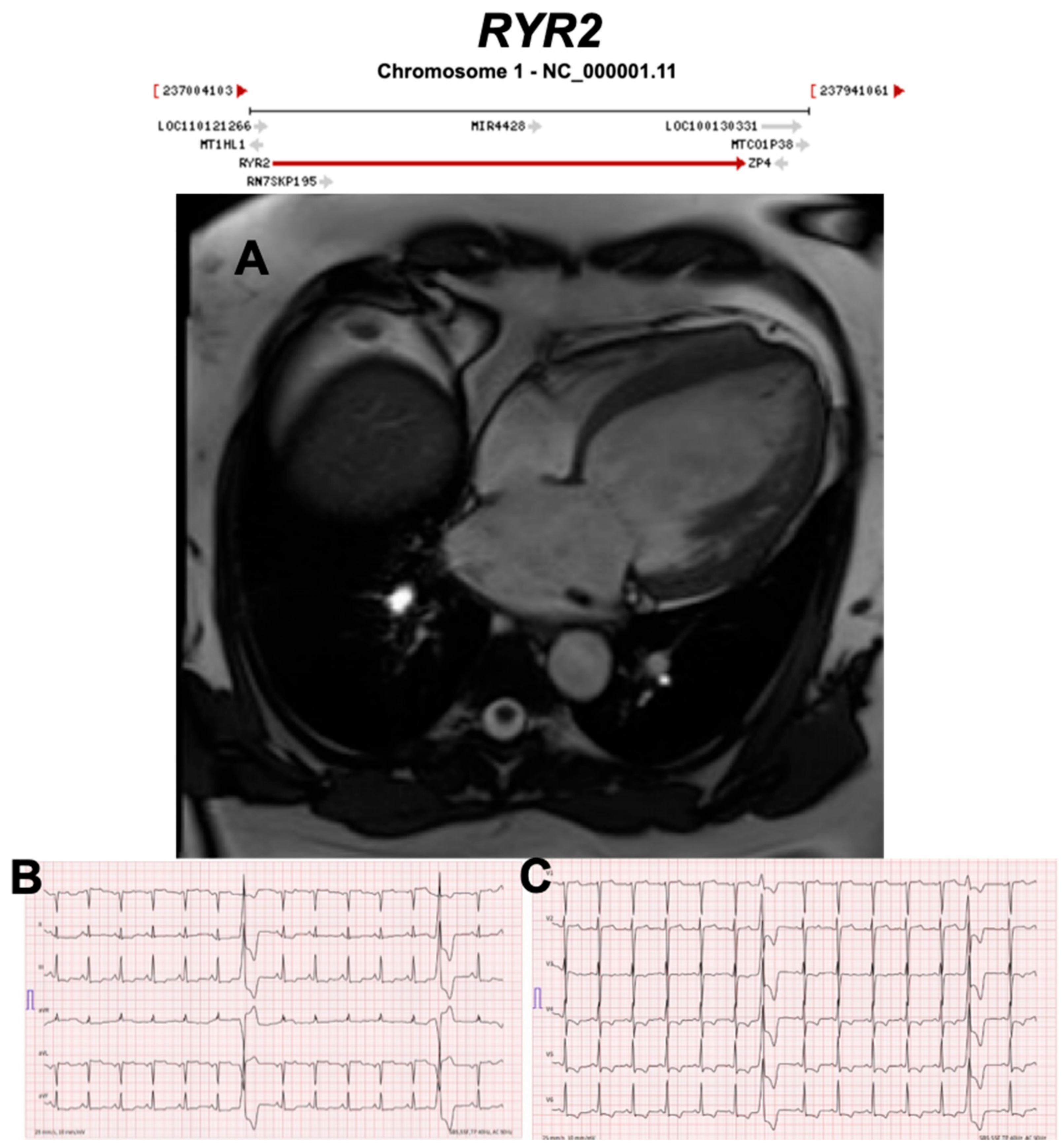 Ijms 21 06615 g017 Ijms 21 06615 g017